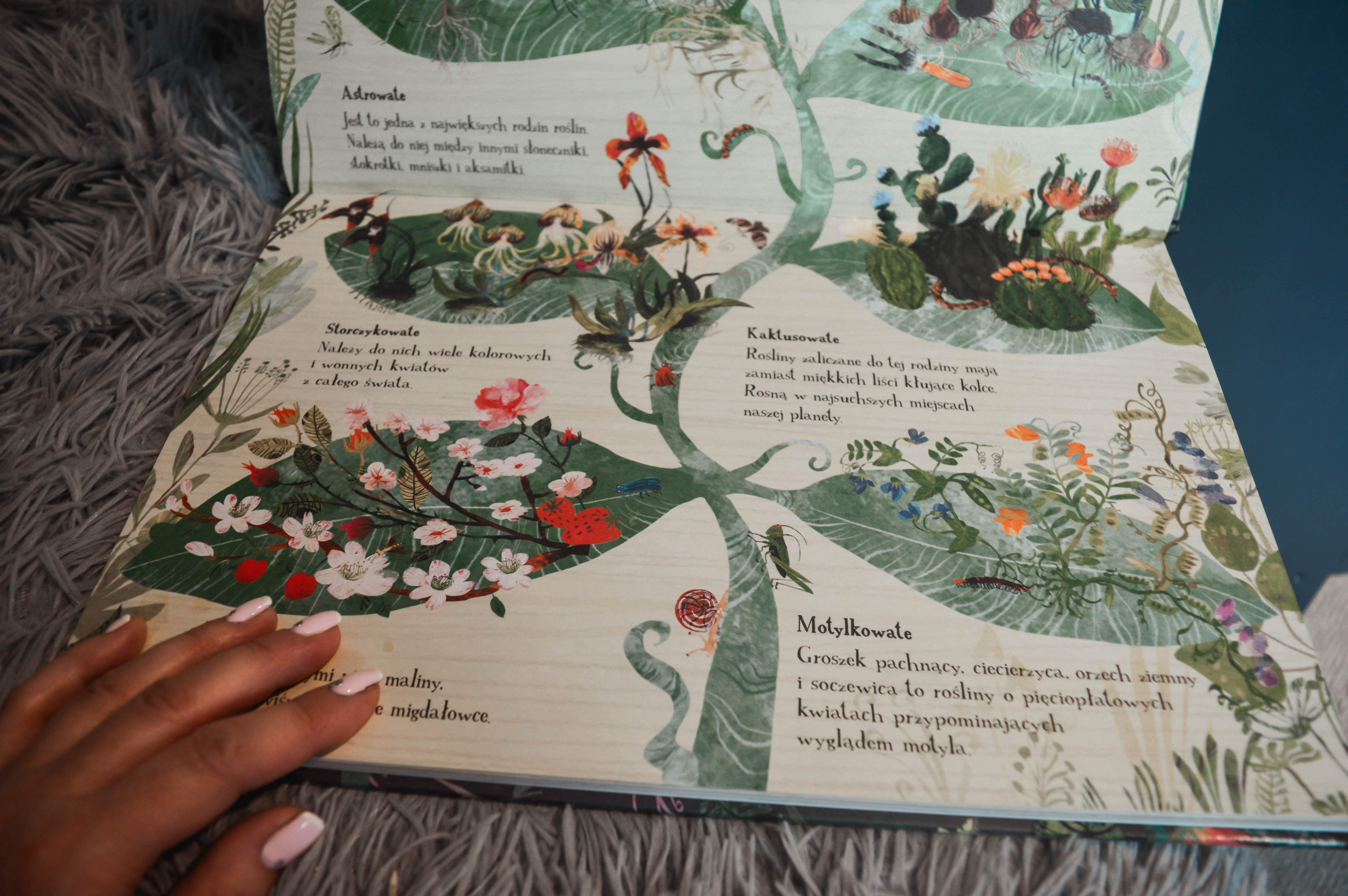 Atlas kwiatów dla dzieci - książka o roślinach - Wielka Księga Kwiatów