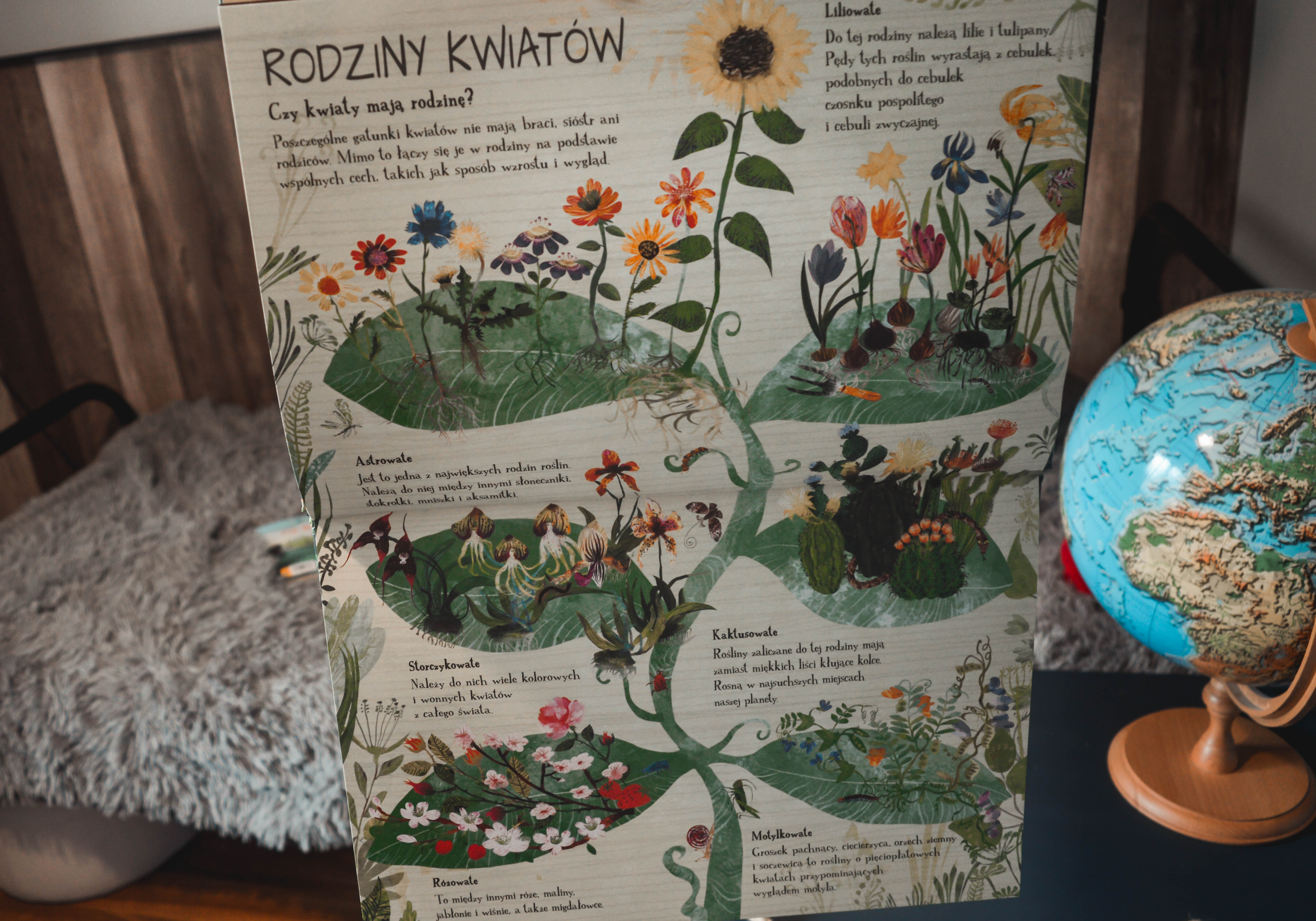książka o kwiatach dla dzieci - atlas roślin