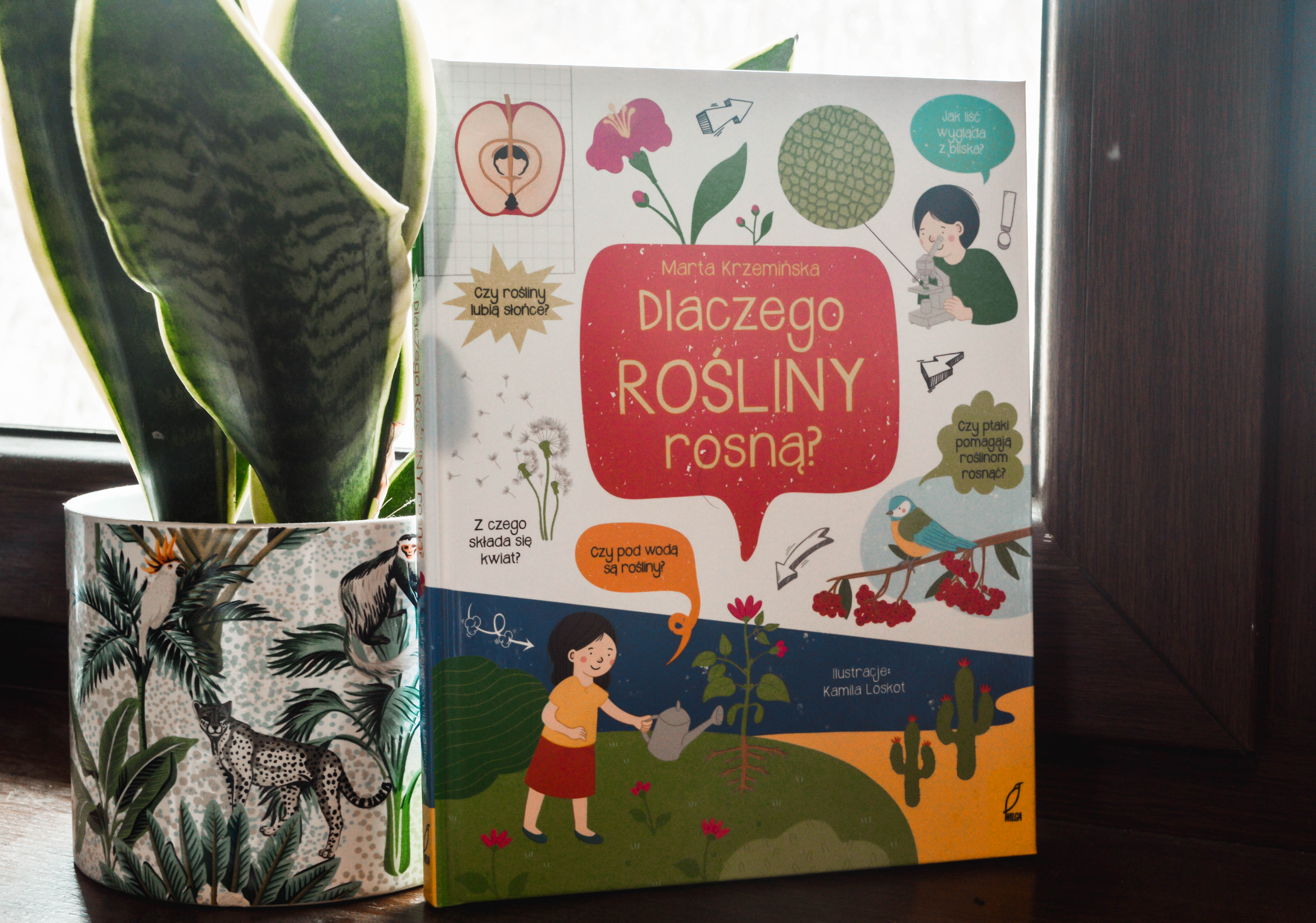 książka o roślinach dla dzieci - książka o przyrodzie