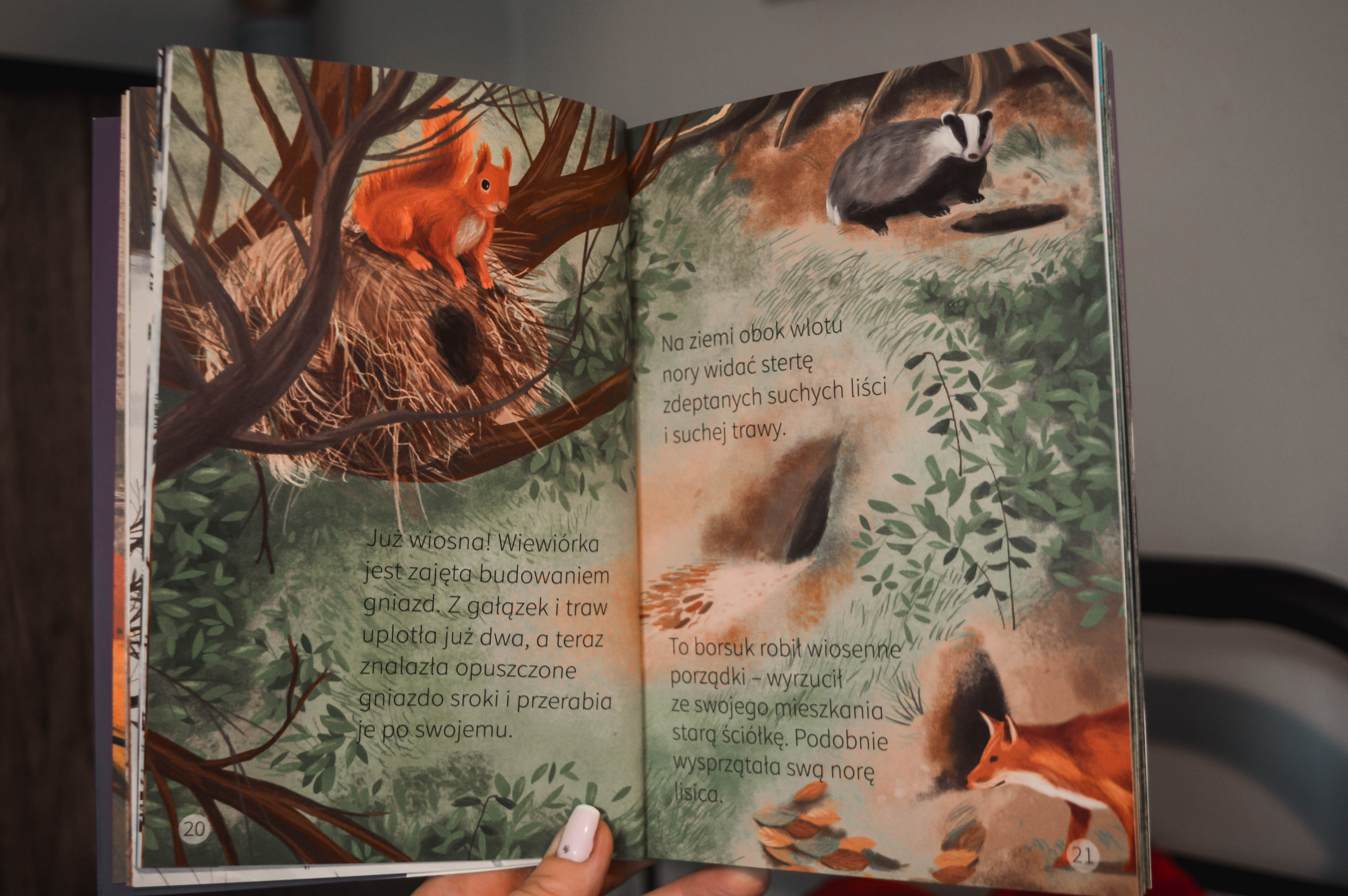 książka przyrodnicza dla 6 latka - książka o lesie dla dzieci