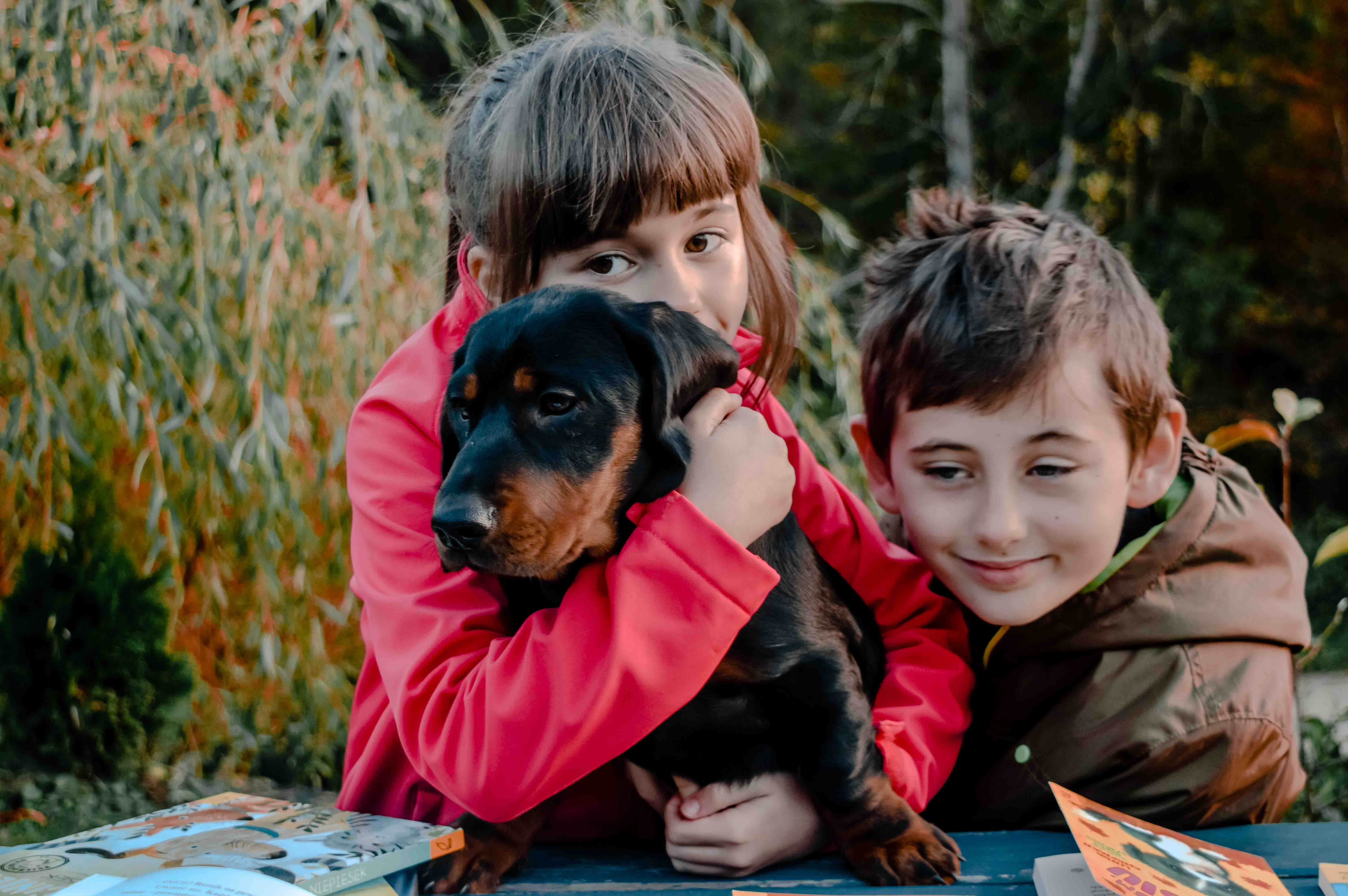 Książki o psach dla dzieci - 14 przygodowych bajek o psach, pełnych wzruszeń, zabawy i empatii