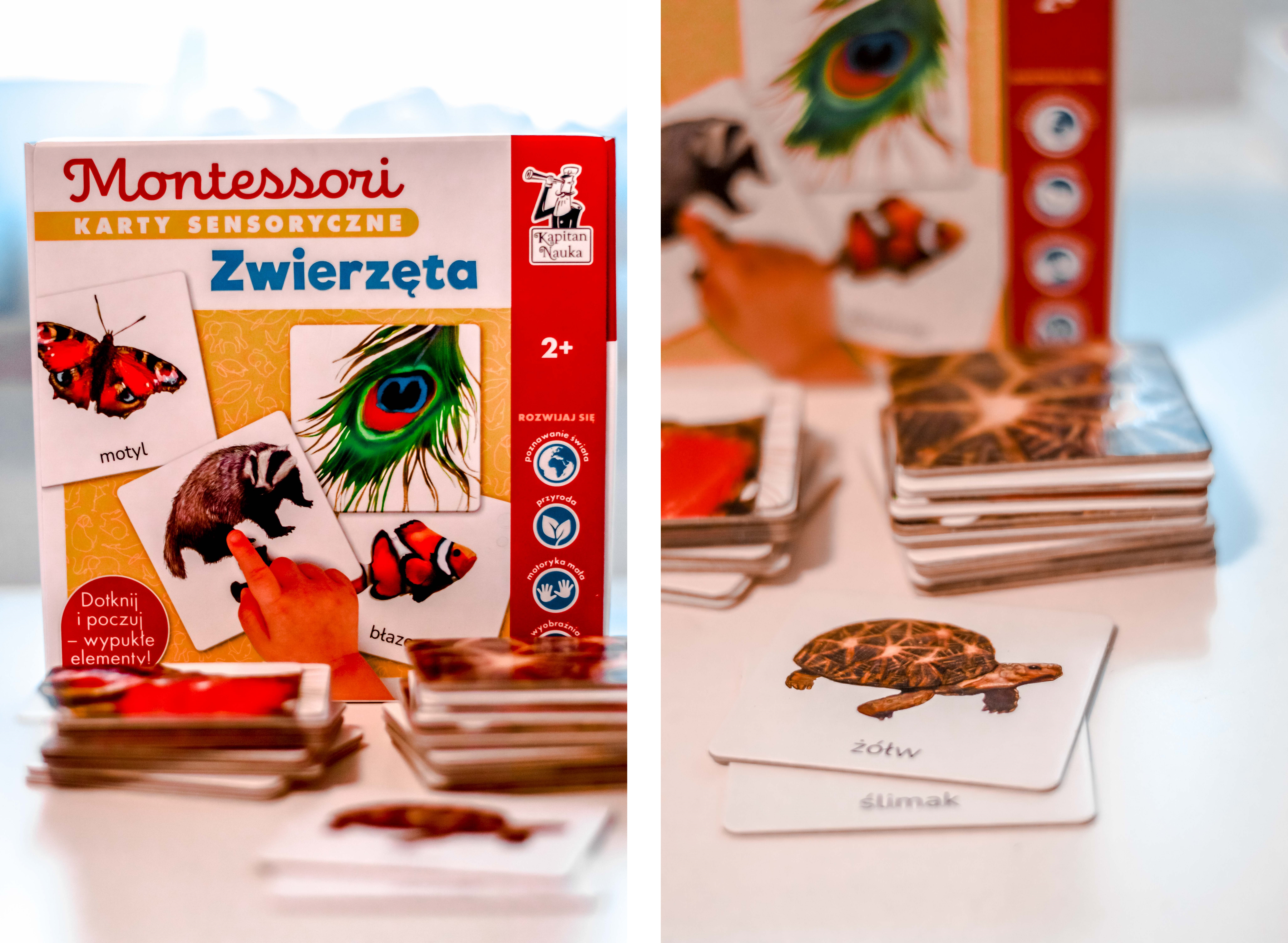 karty sensoryczne dla 2 latka o zwierzętach - metoda Montessori karty gra