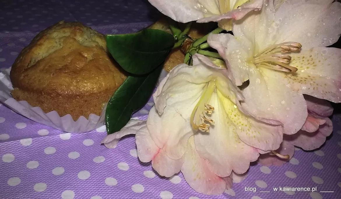 domowe muffinki