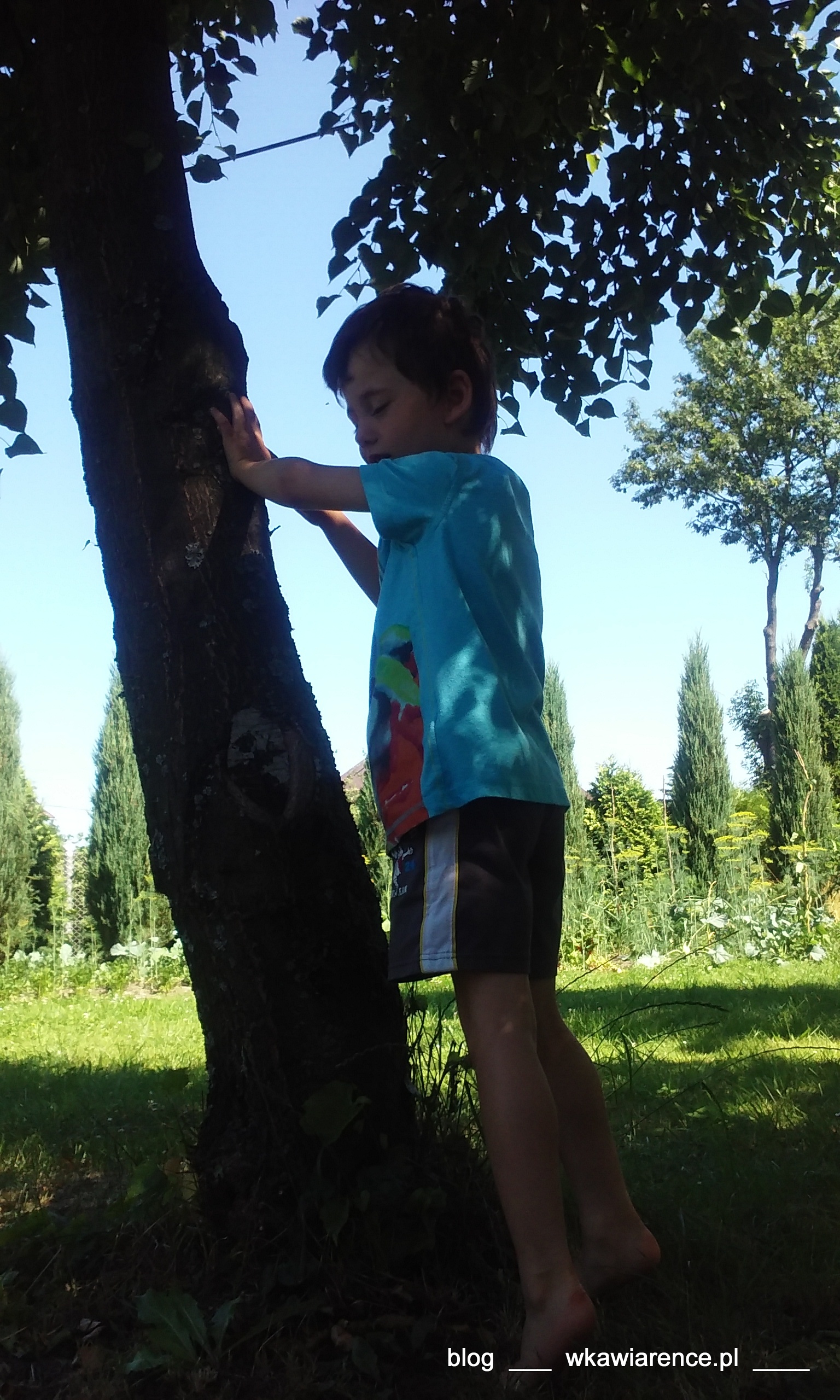 20150704_100721