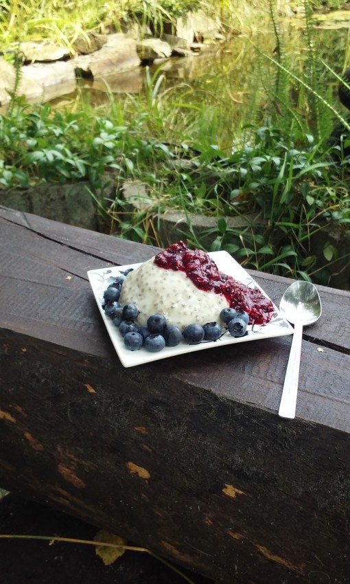 panna cotta z chia z serii zdrowe przekąski deser z chia