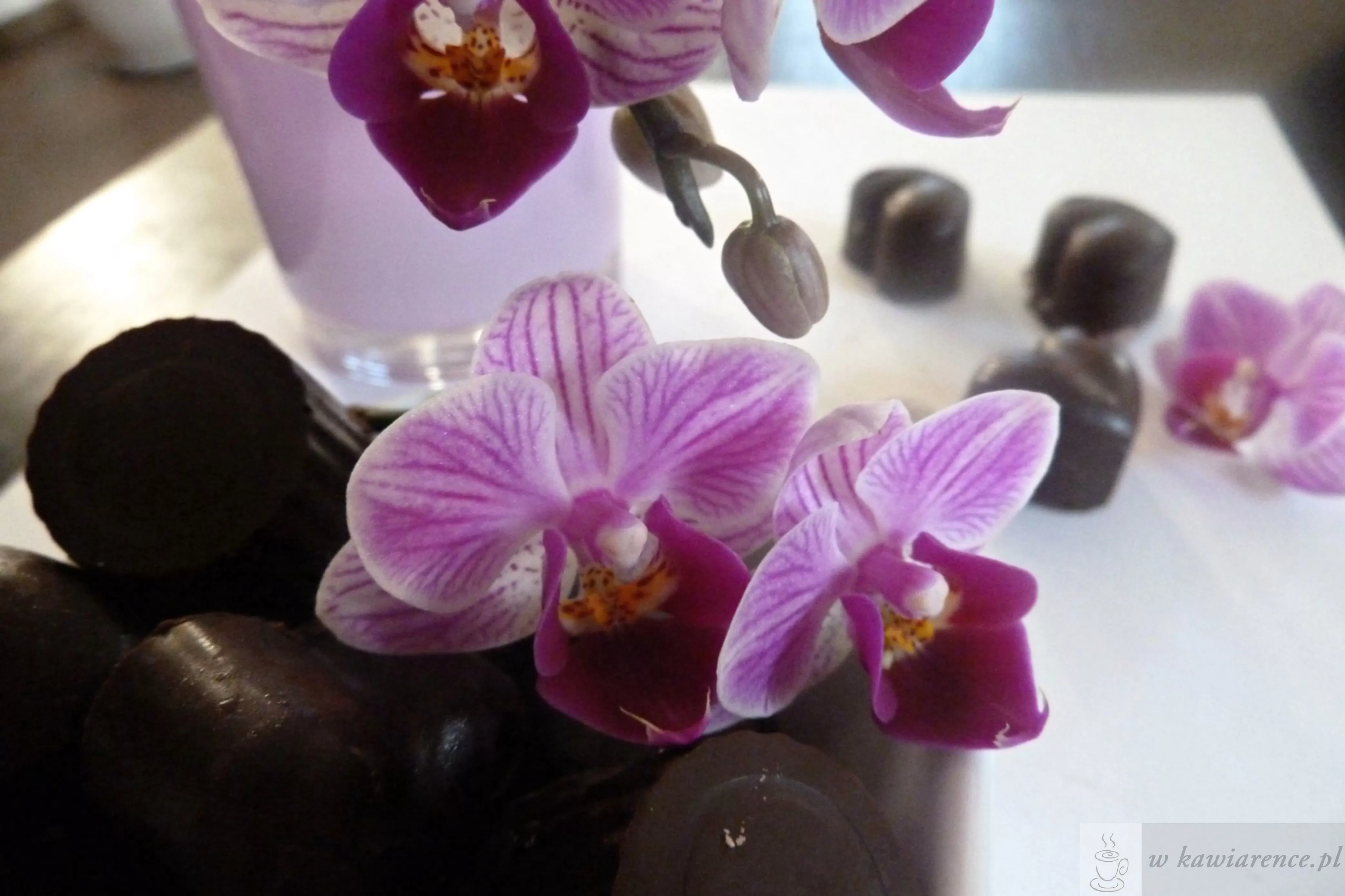 przepis na praliny przepis na praliny