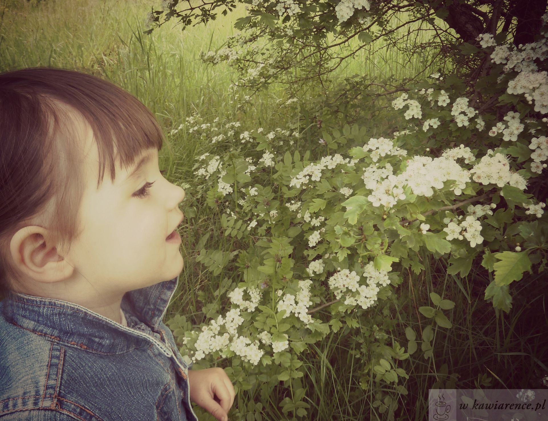 blog parentingowy