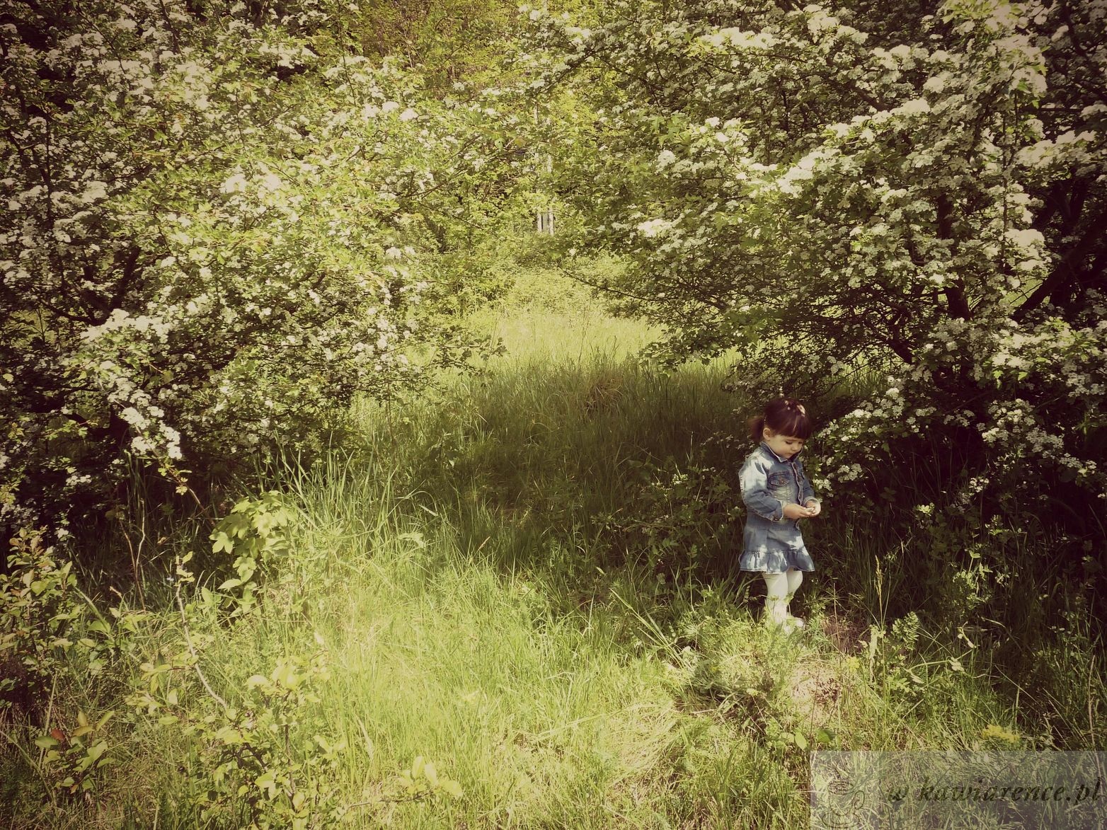 blog parenting