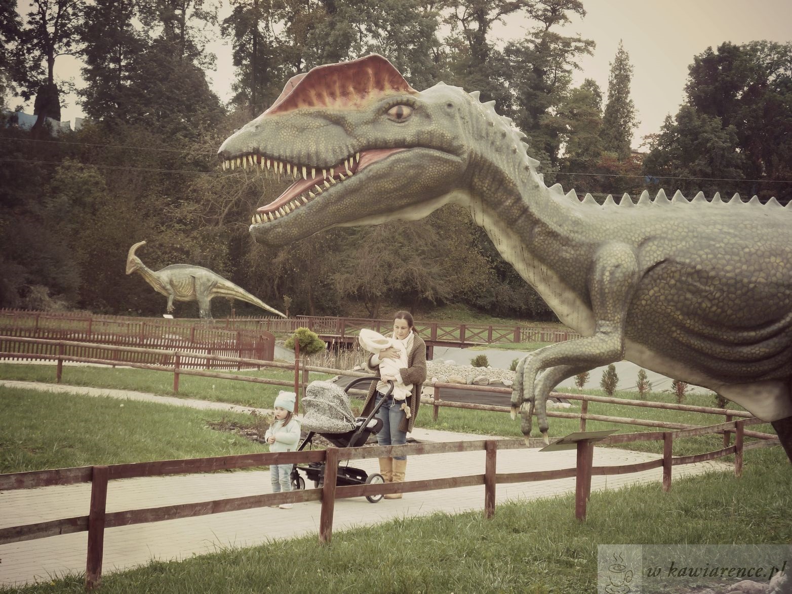 p1160018