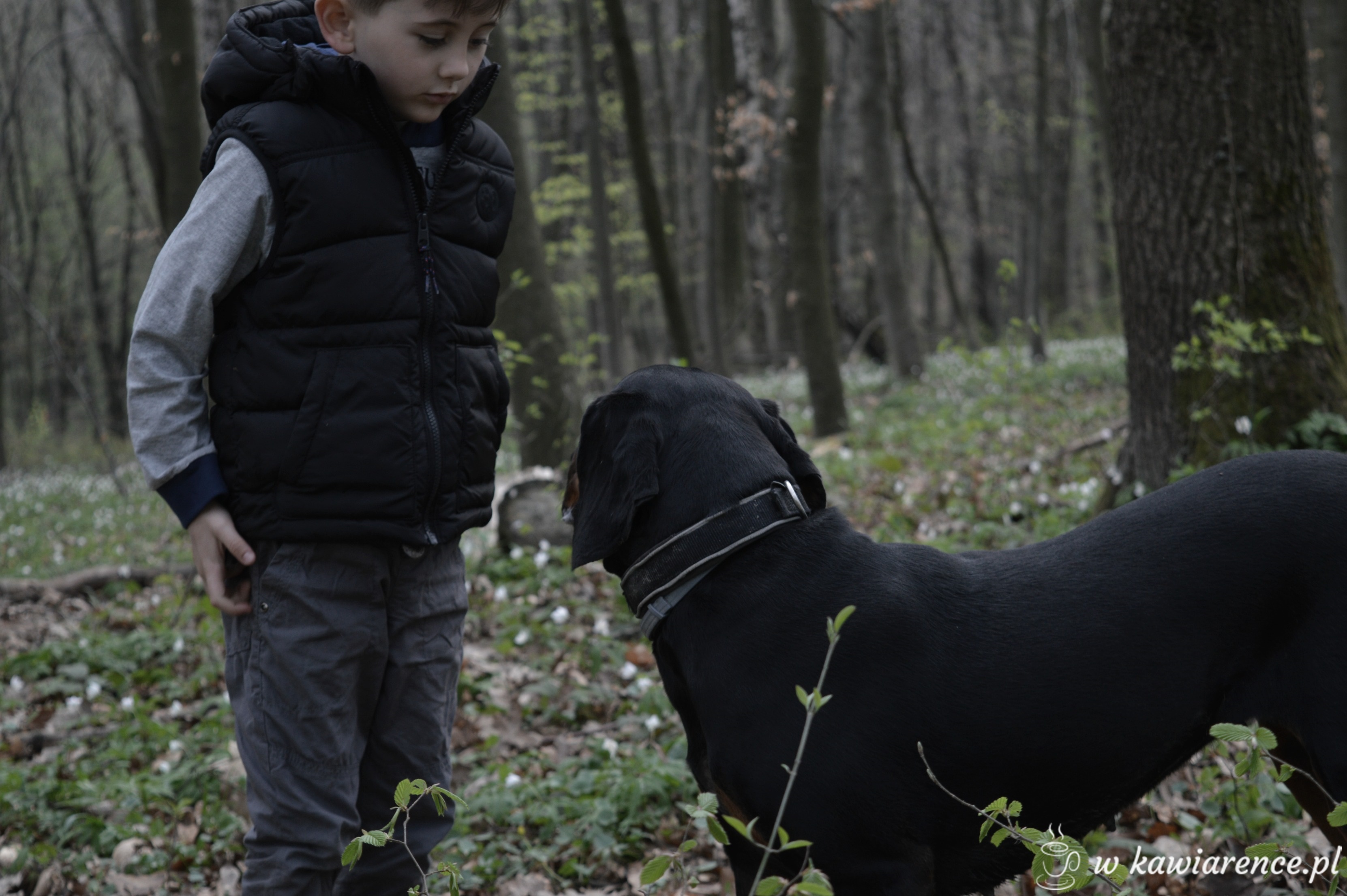 rozpoczęła się wiosna, a ja się boję – inwazja kleszczy