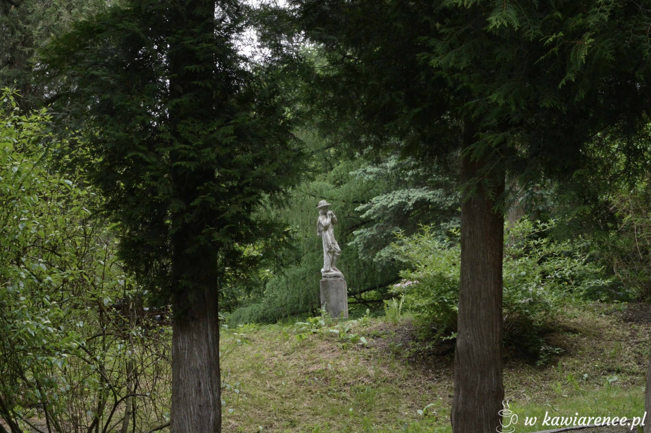 park w przemyślu