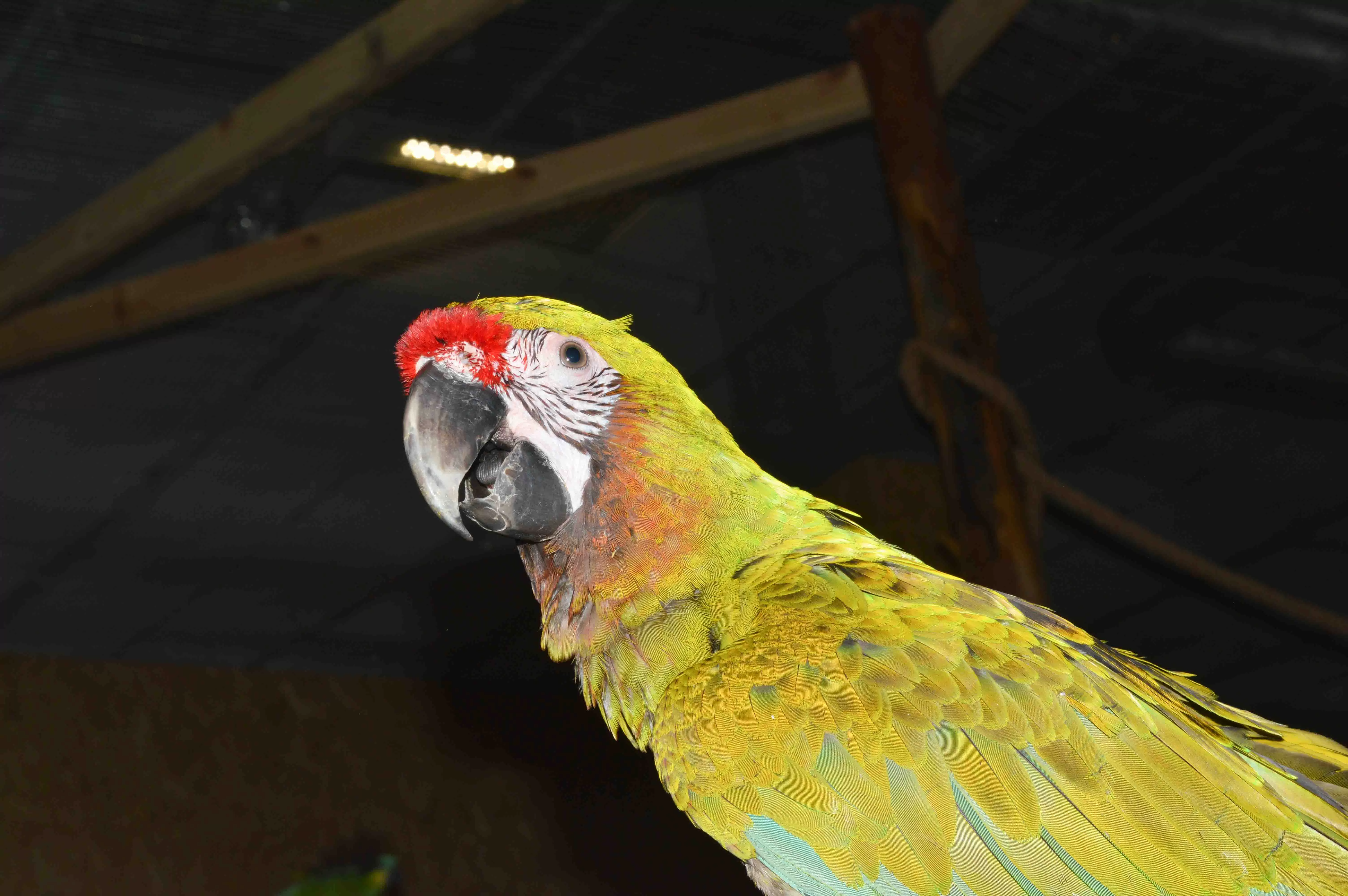 Basen w Trójmieście Gdynia Gdańsk Aquapark Reda atrakcje dla dzieci