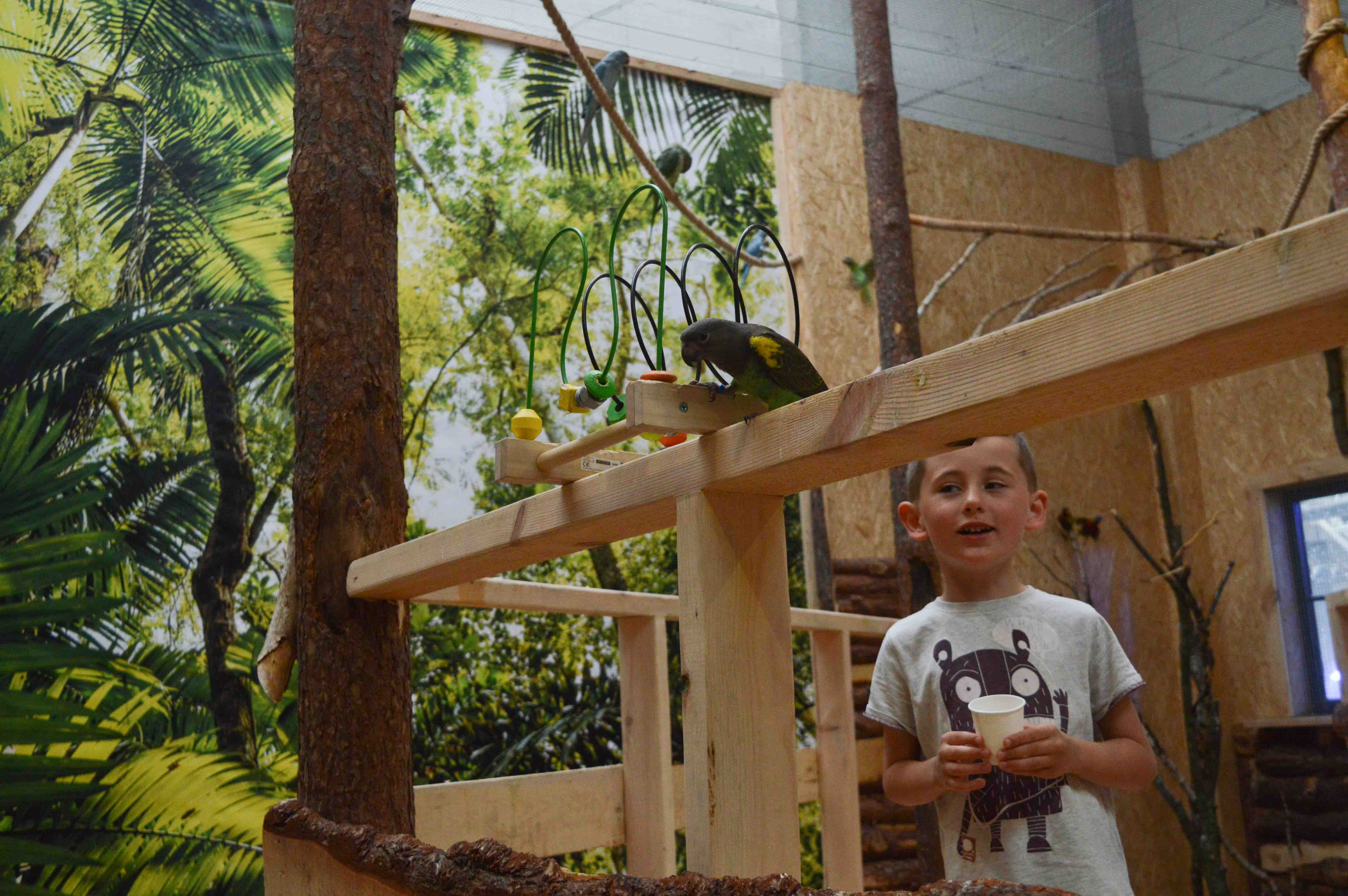 Trójmiasto atrakcje dla dzieci Papugarnia