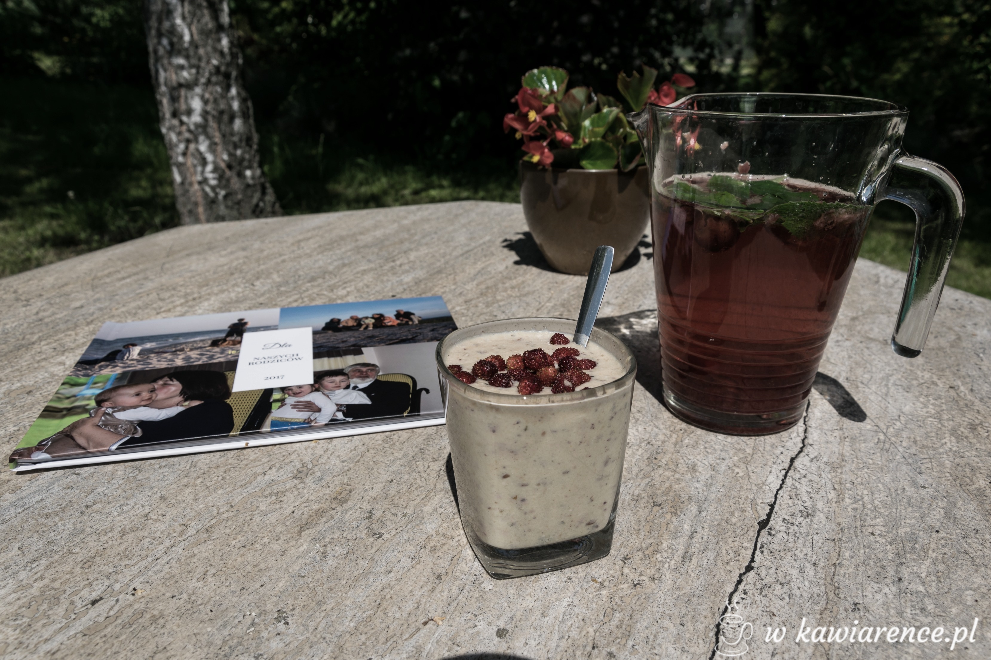 fotoalbum printu
