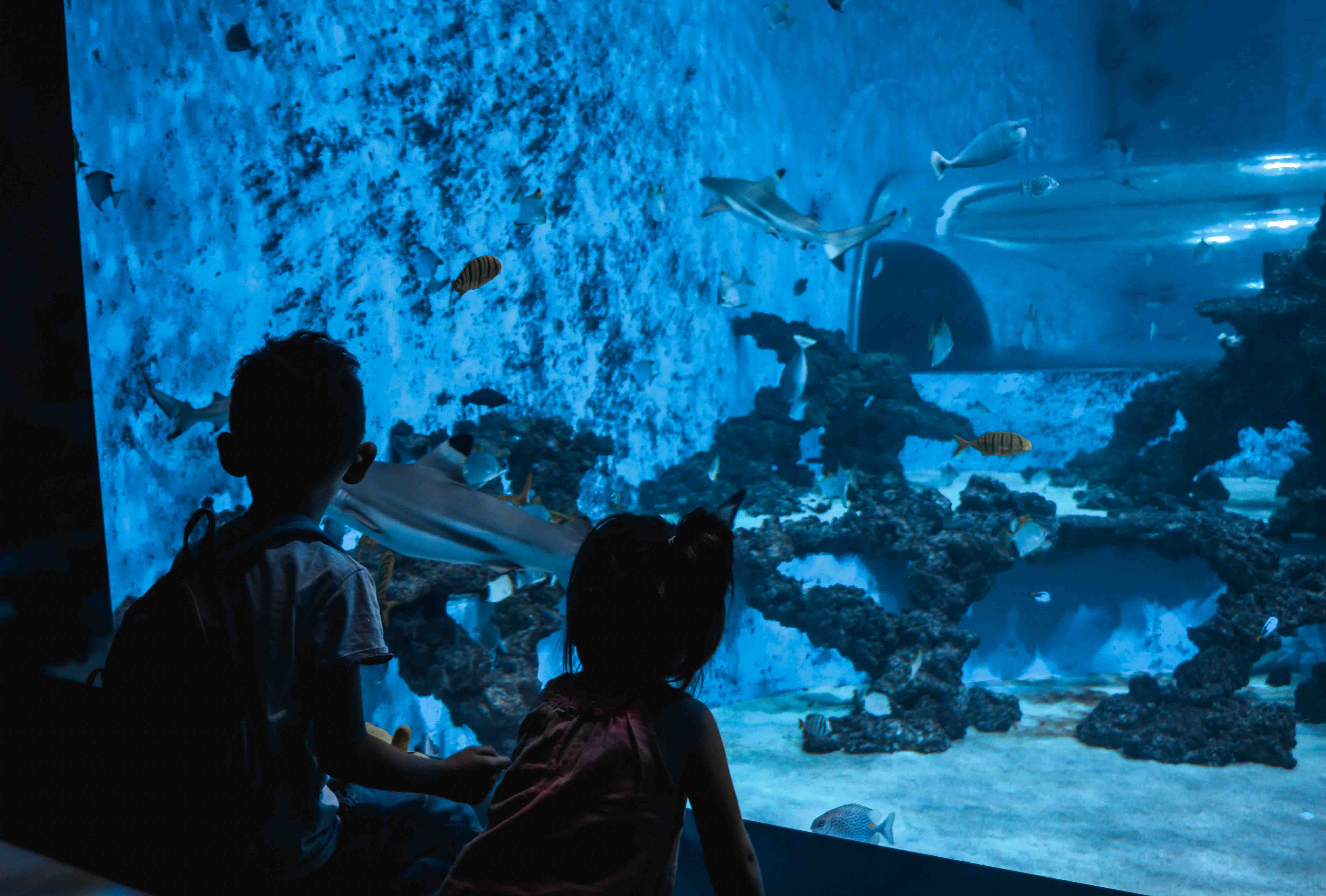 basen Gdynia Trójmiasto - Aquacentrum Reda - Aquapark niedaleko Trójmiasta