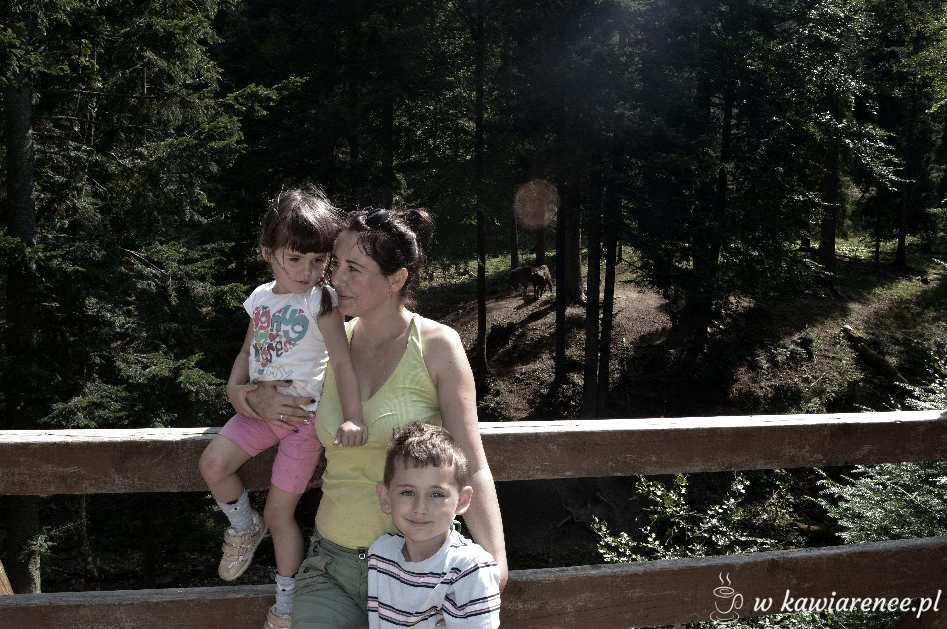 zagroda zubrow bieszczady