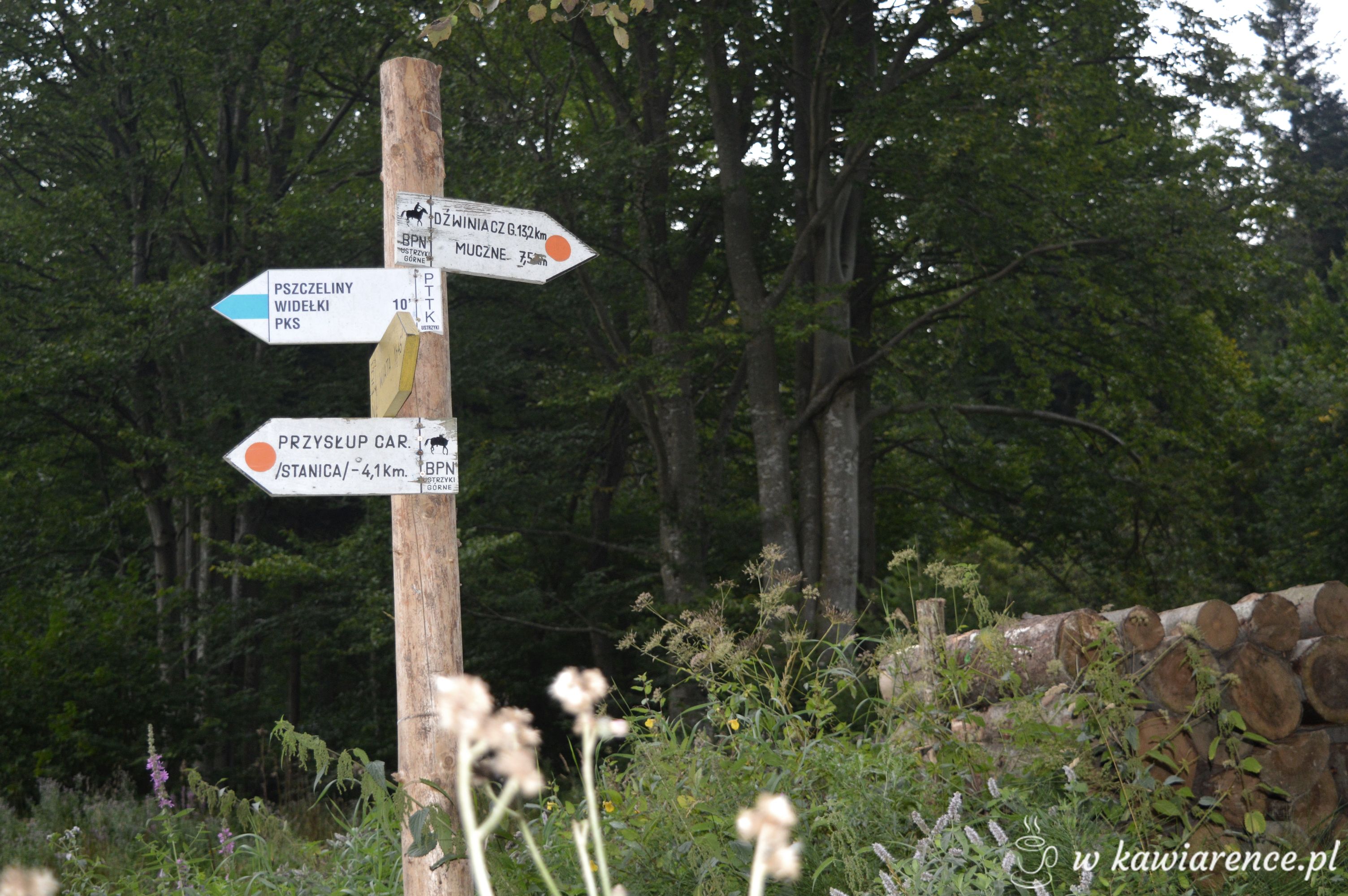 trasa niebieska bieszczady