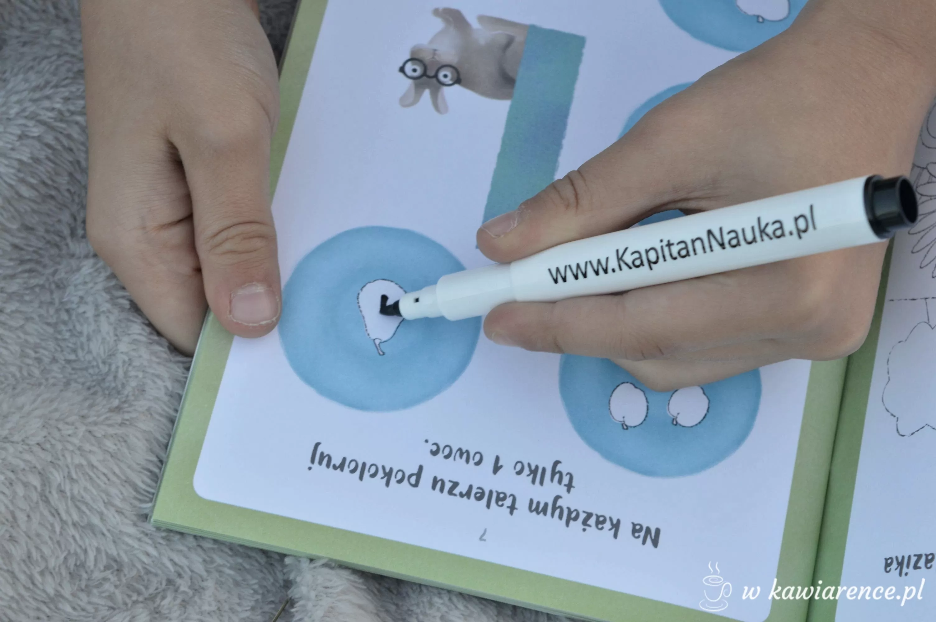 kreatywne zabawy z dzieckiem - Kapitan Nauka kreatywne zabawy z dzieckiem - Kapitan Nauka