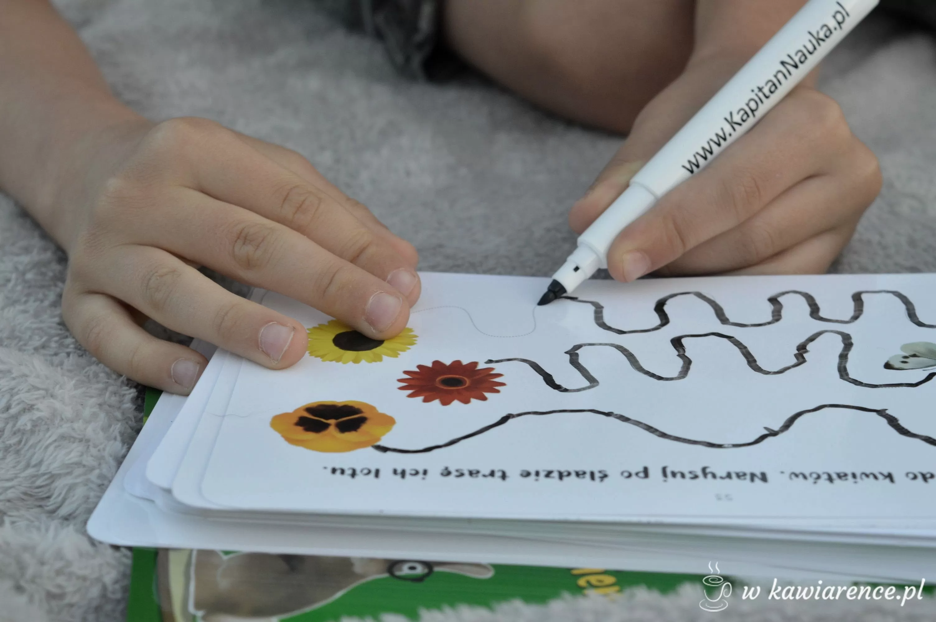 malowanki z pisakiem zmazywalnym malowanki z pisakiem zmazywalnym