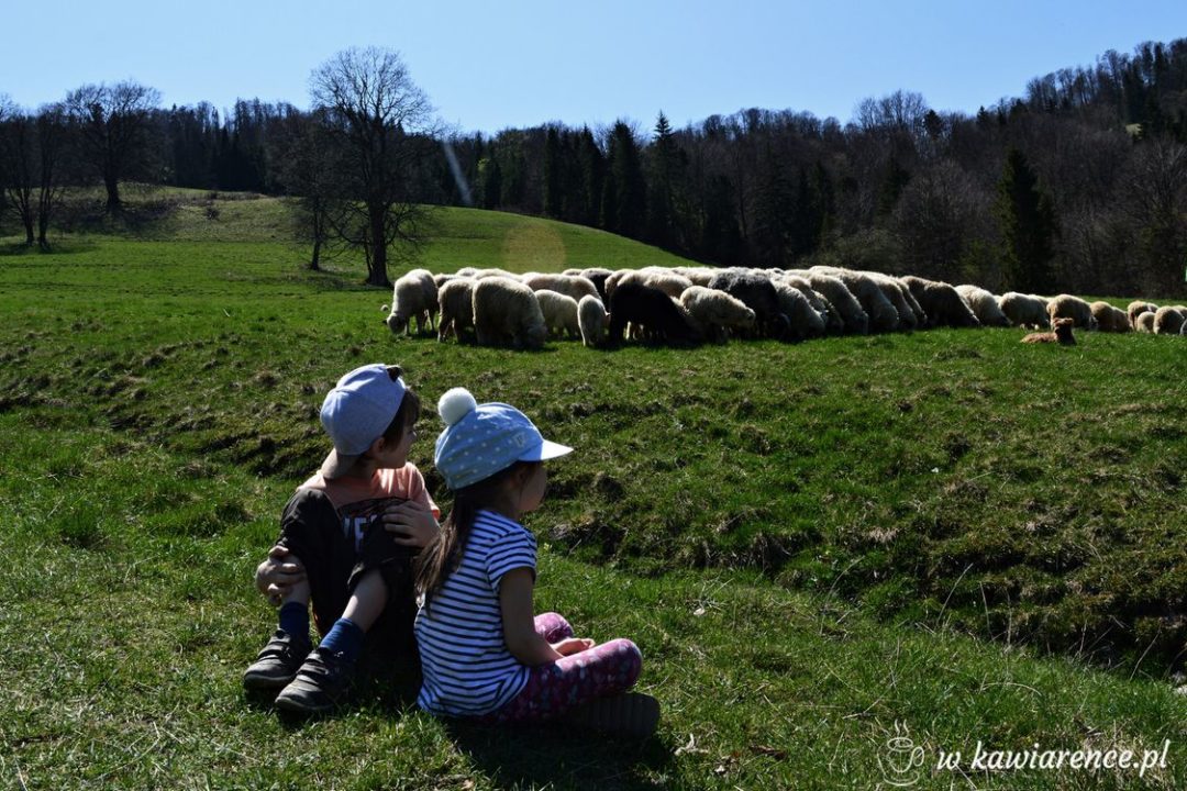 szczawnica z dzieckiem na weekend