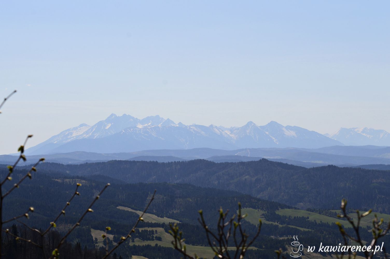 widok na tatry z wysokiej w pieninach