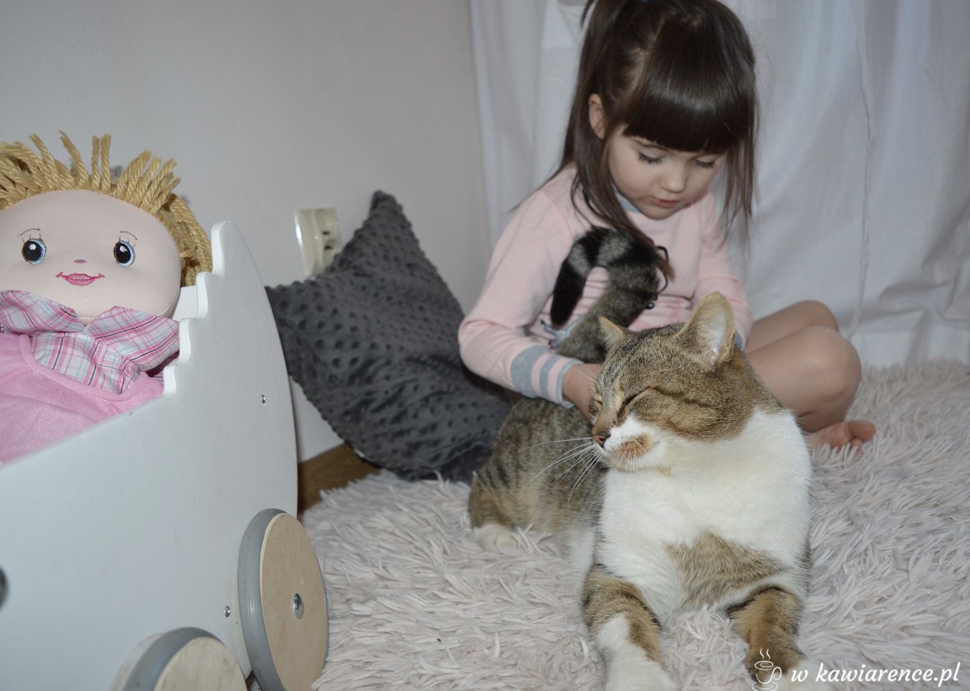 kot przyjacielem dziecka plusy posiadania kota