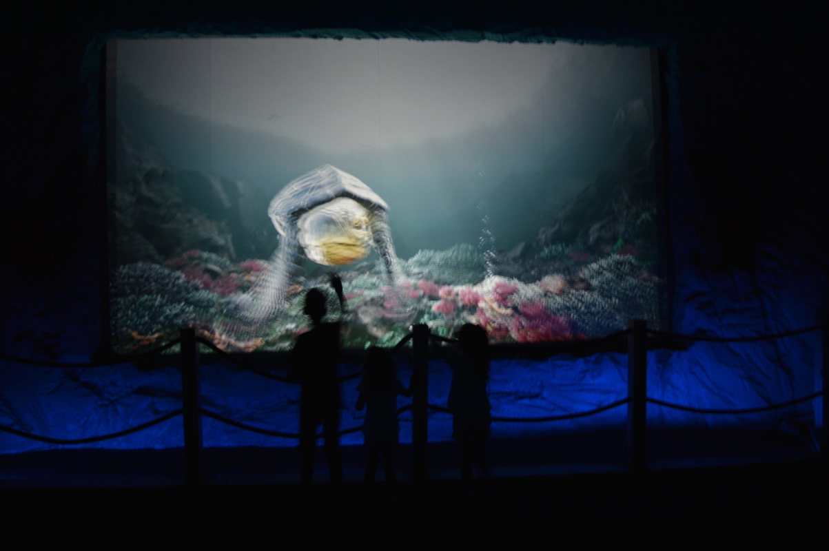 muzeum dinozaurów oceanarium Bałtów JuraPark
