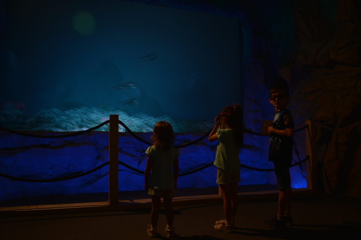 muzeum bałtów atrakcje dla dzieci Oceanarium Bałtów prehistoryczne oceanarium Bałtów