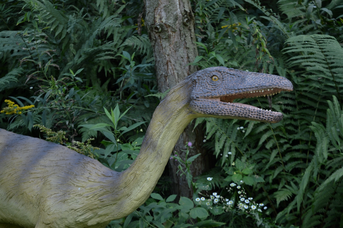 Park z dinozaurami Bałtów Polska świętokrzyskie Park z dinozaurami Bałtów Polska świętokrzyskie