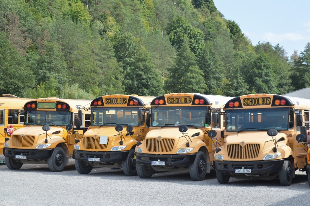 zoo bałtów american school bus