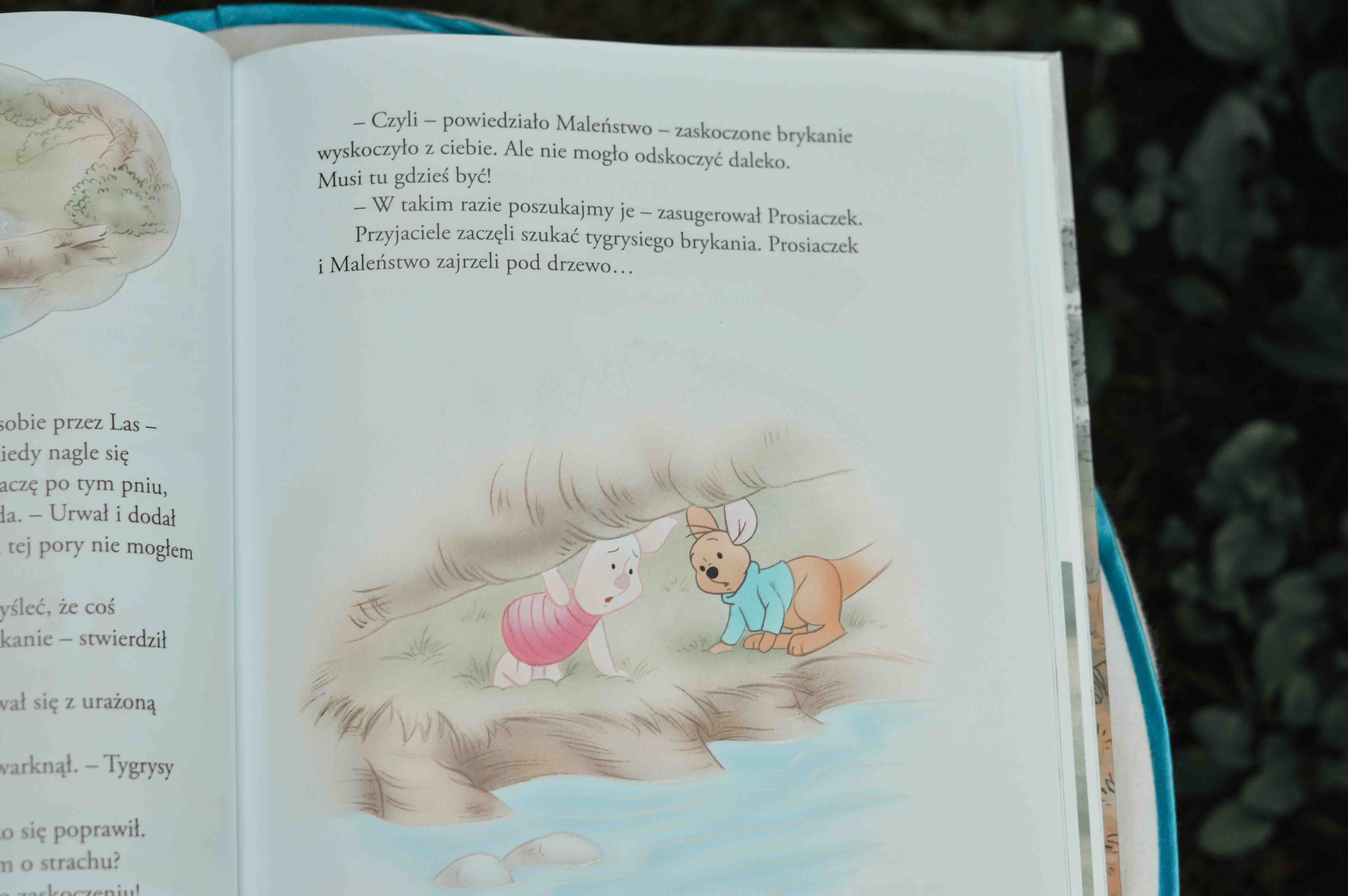 bajki do czytania przed snem książki dla 5 latków