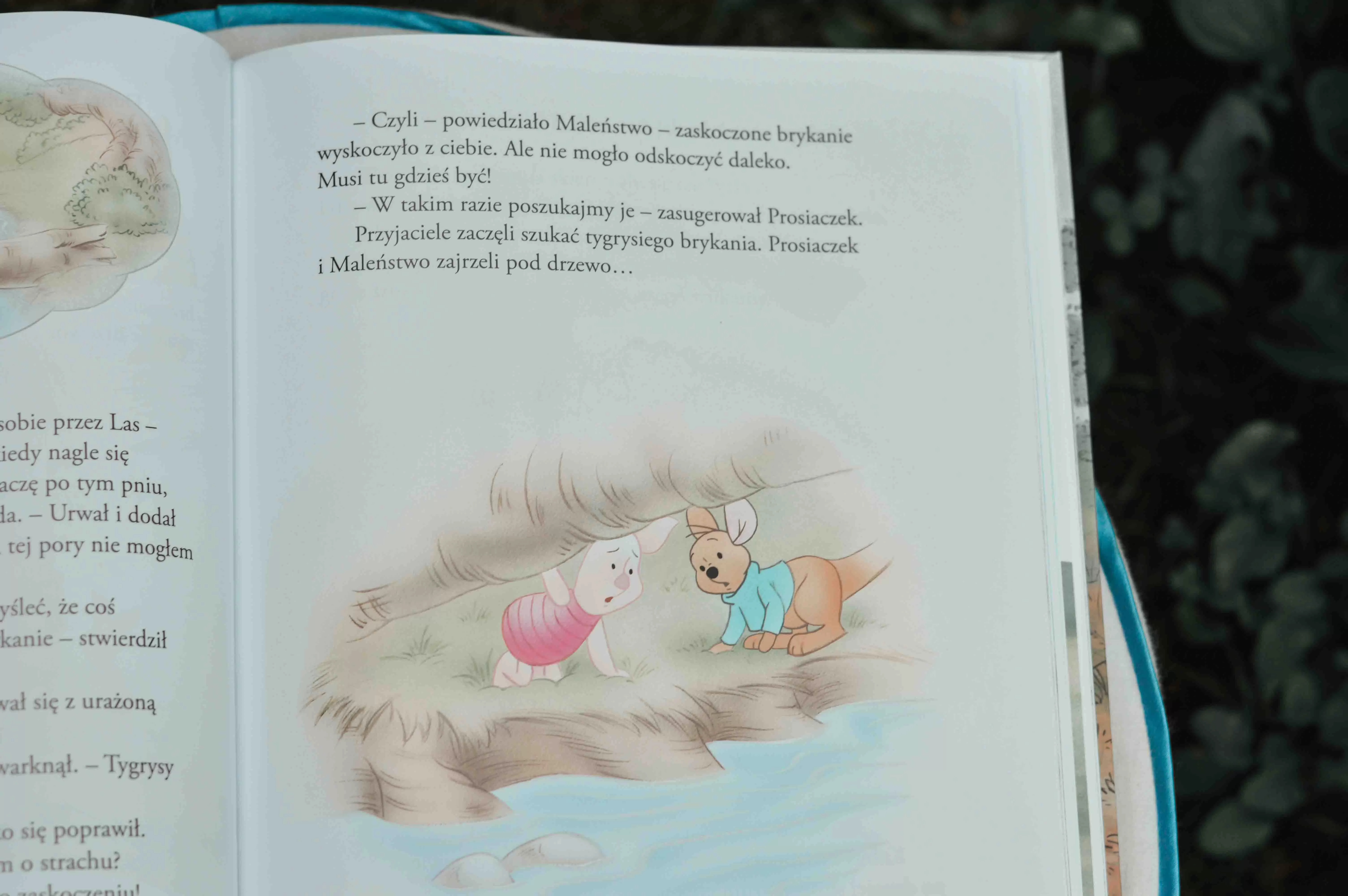 bajki do czytania przed snem książki dla 5 latków