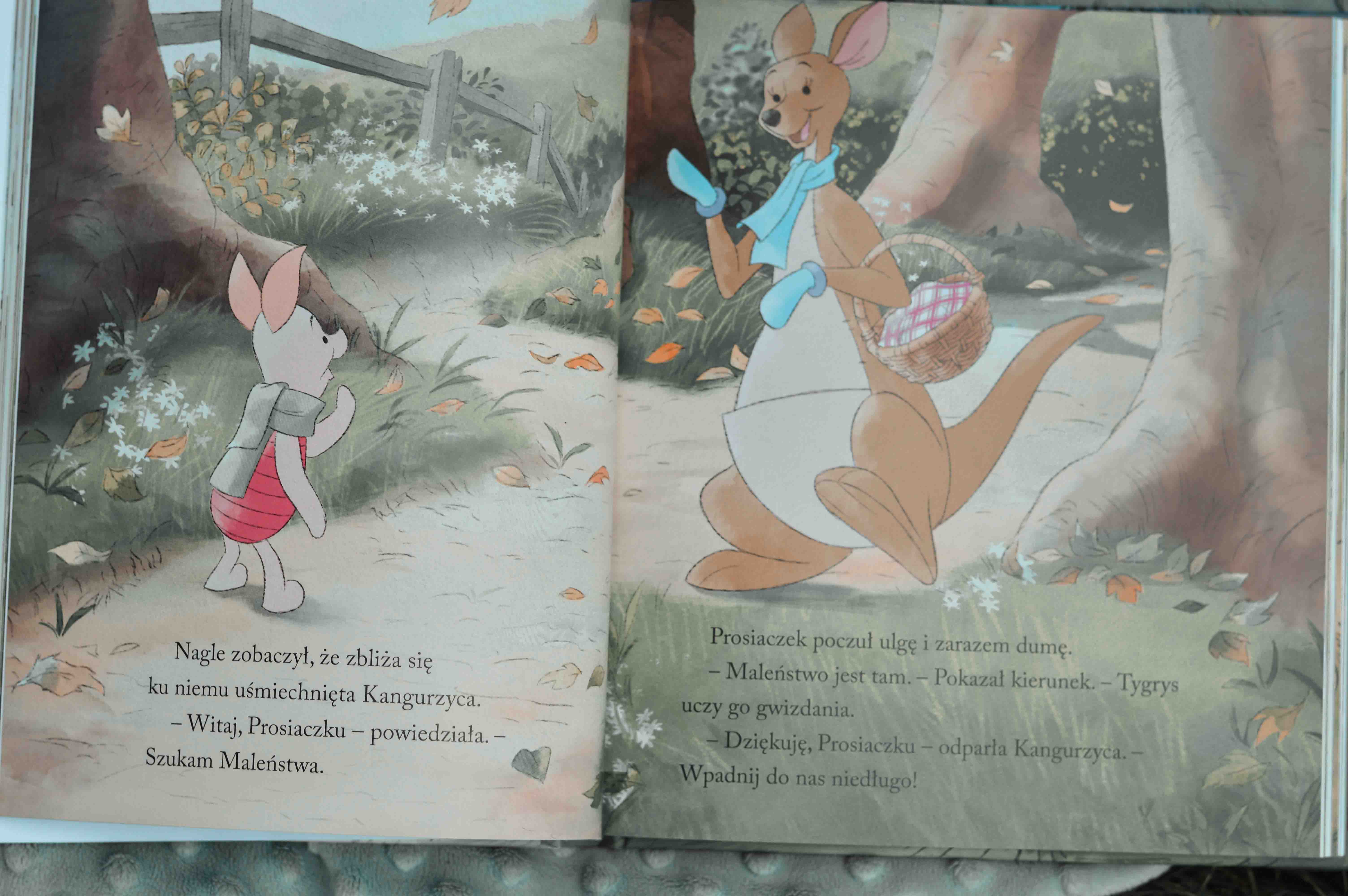 książki z obrazkami dla 2 latka 3 4 5