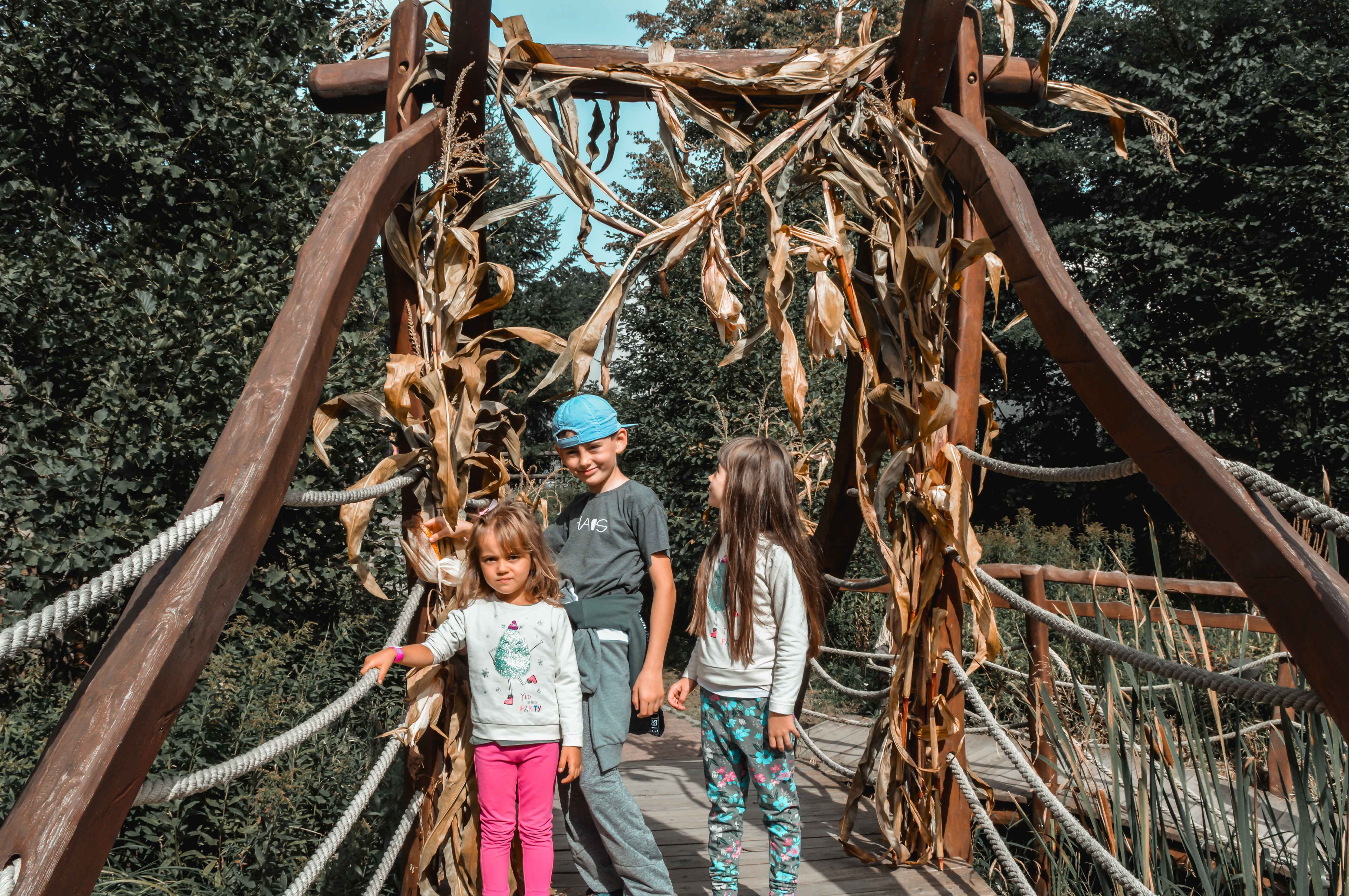 święto Dyni w Bałtowie - atrakcje dla dzieci w świętokrzyskim