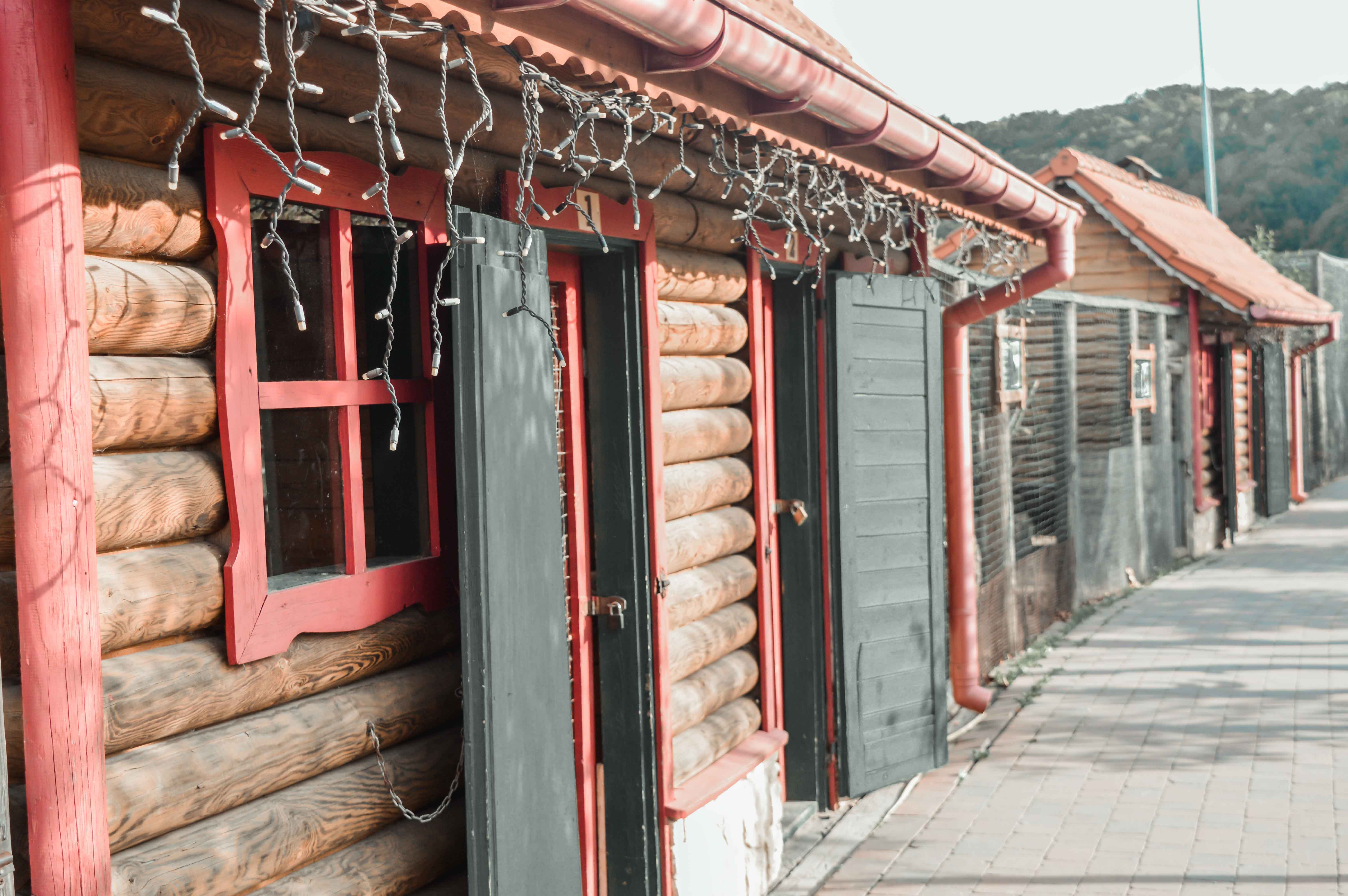 jesień w bałtowie Jura Park