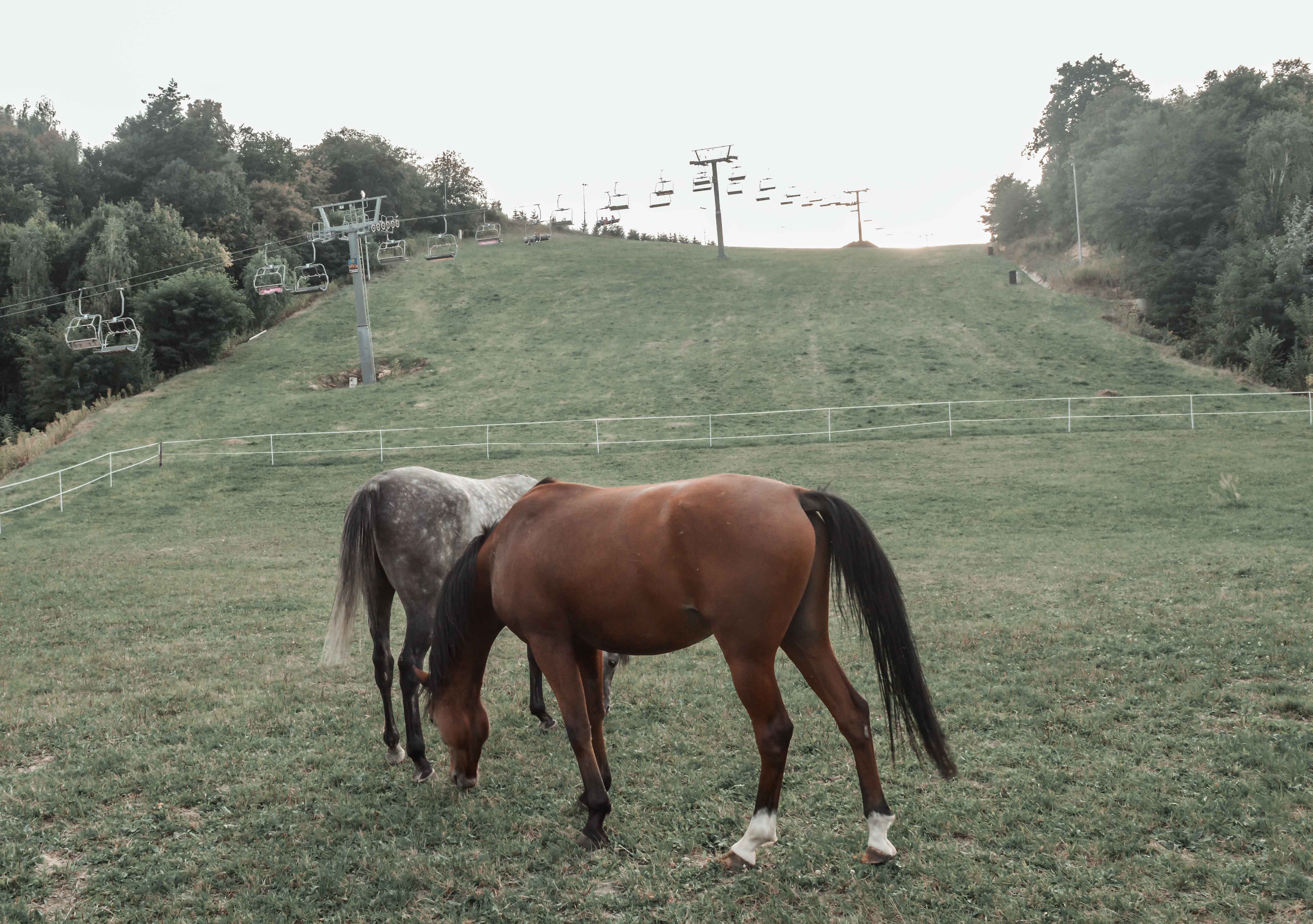 województwo świętokrzyskie - narty - kolej krzesełkowa - Bałtów