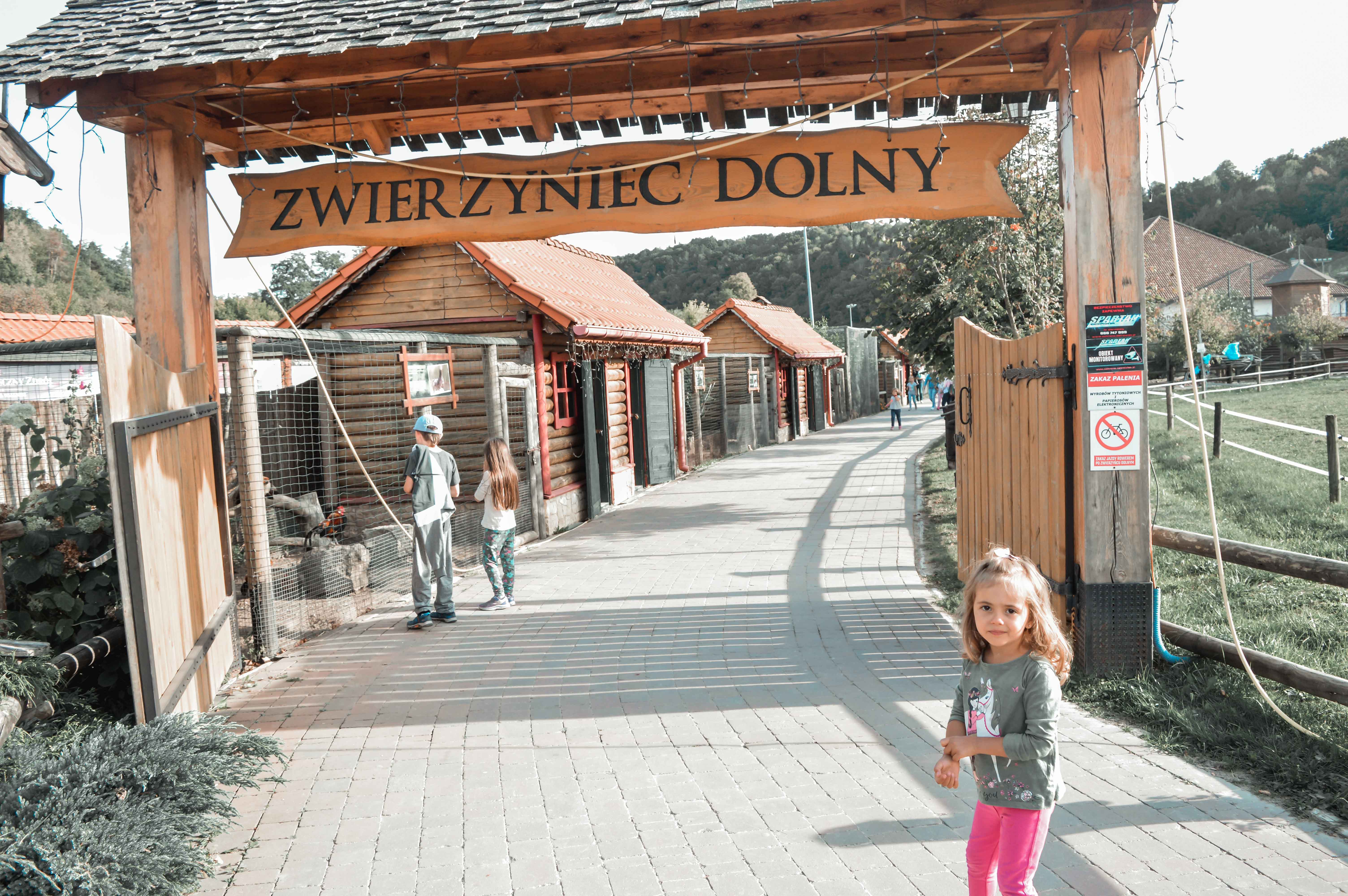 zwierzęta w Bałtowie zoo zwierzyniec