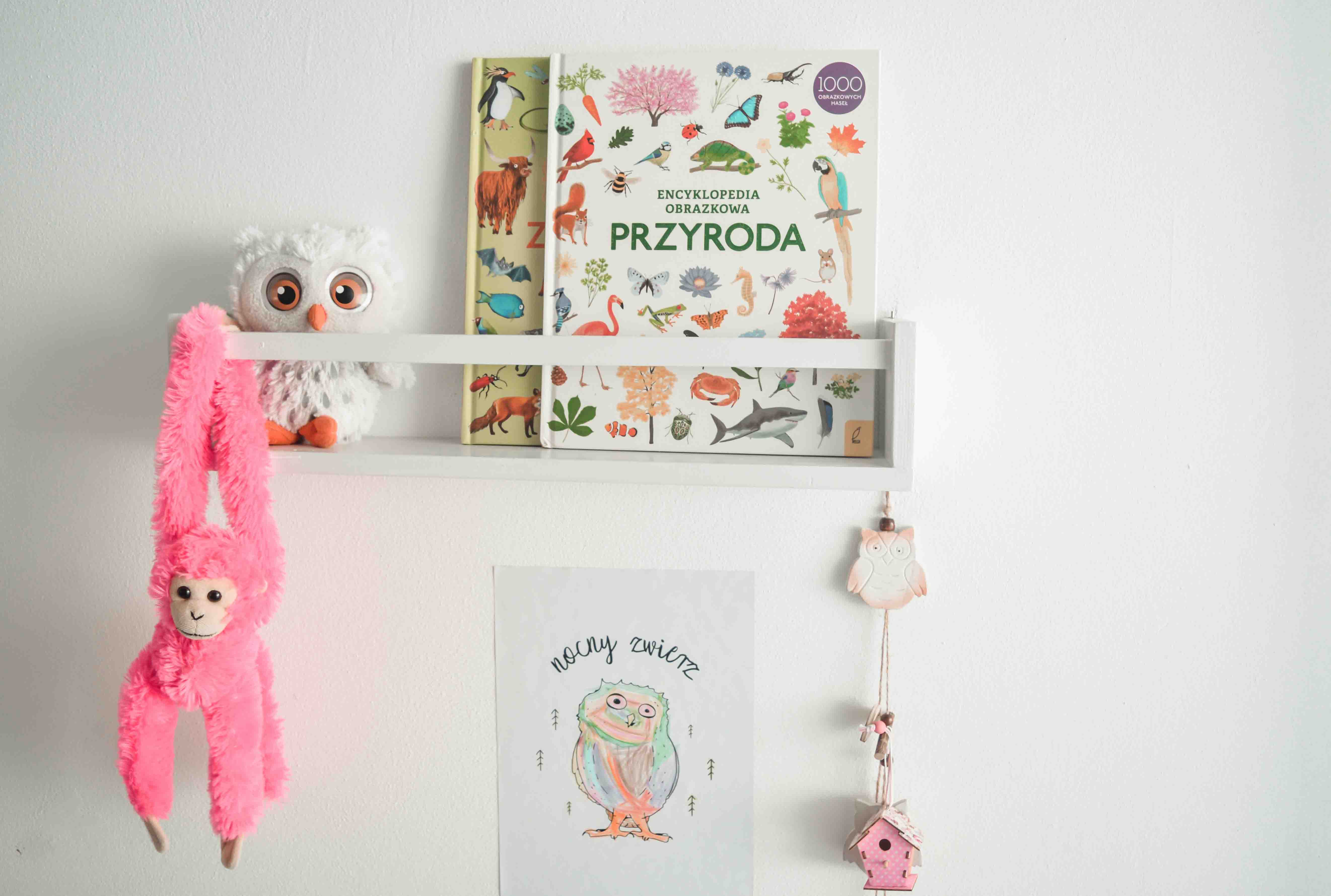 encyklopedia obrazkowa dla dzieci Przyroda Wydawnictwo Wilga