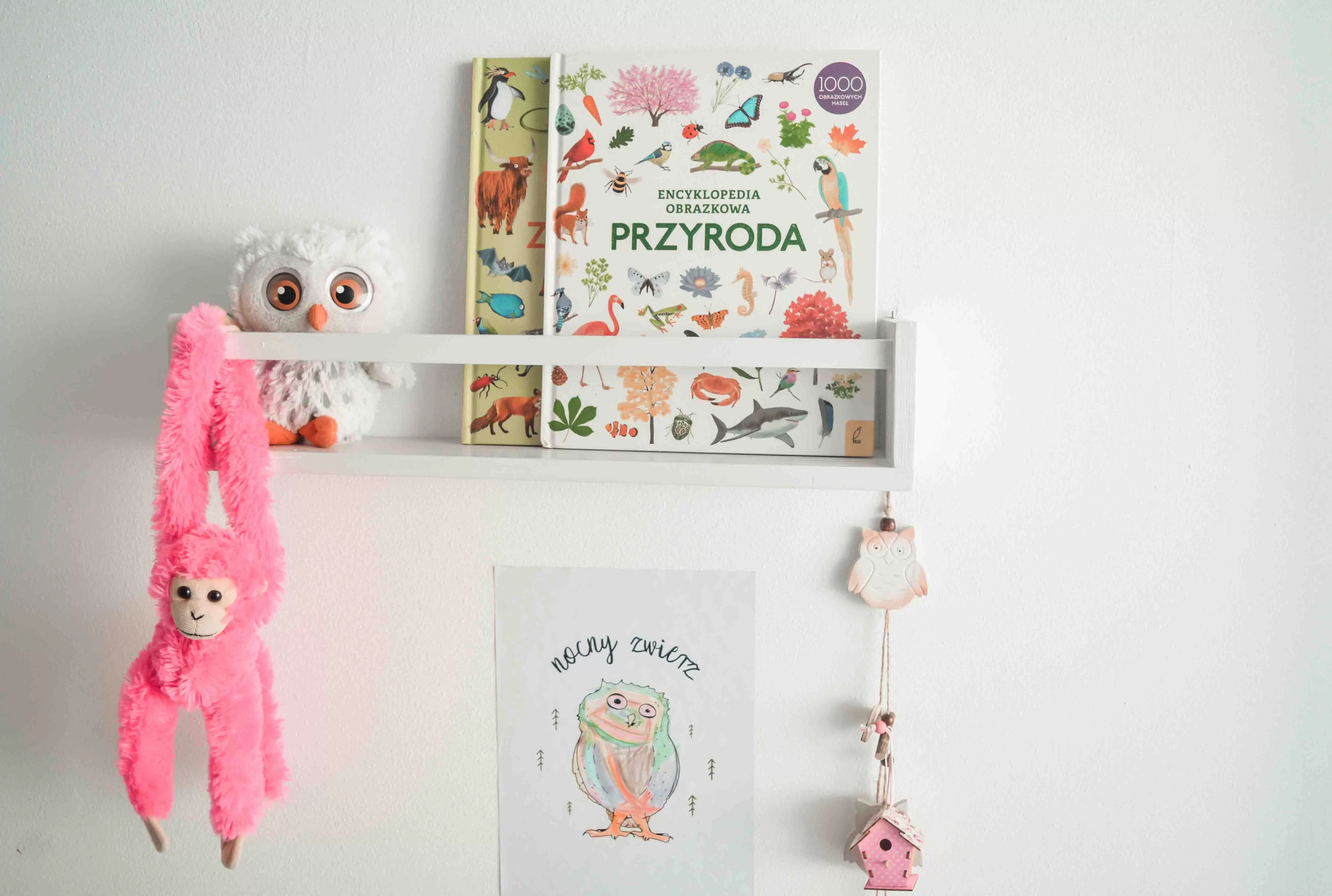encyklopedia obrazkowa dla dzieci Przyroda Wydawnictwo Wilga