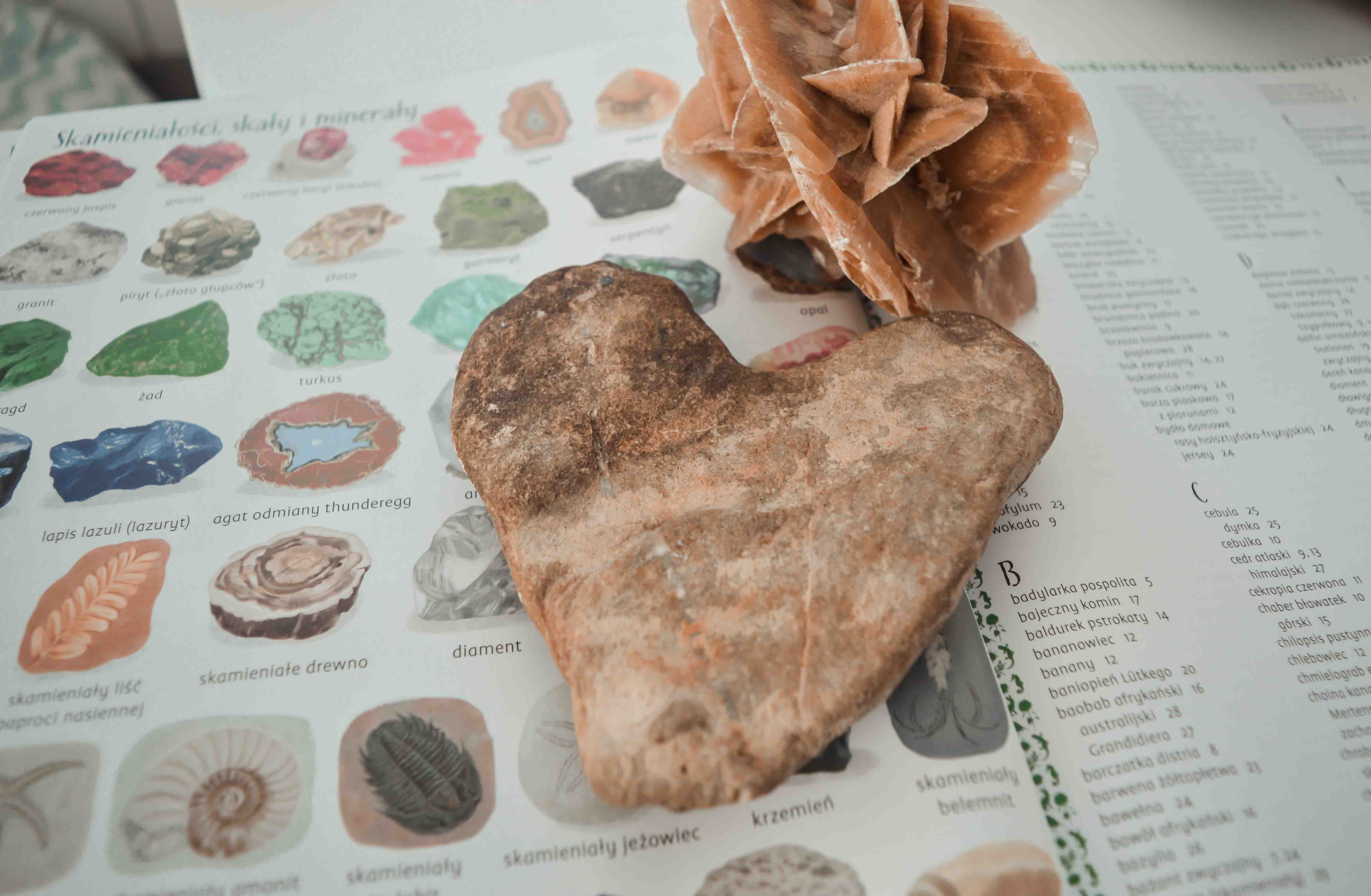 książka edukacyjna o przyrodzie dla dzieci