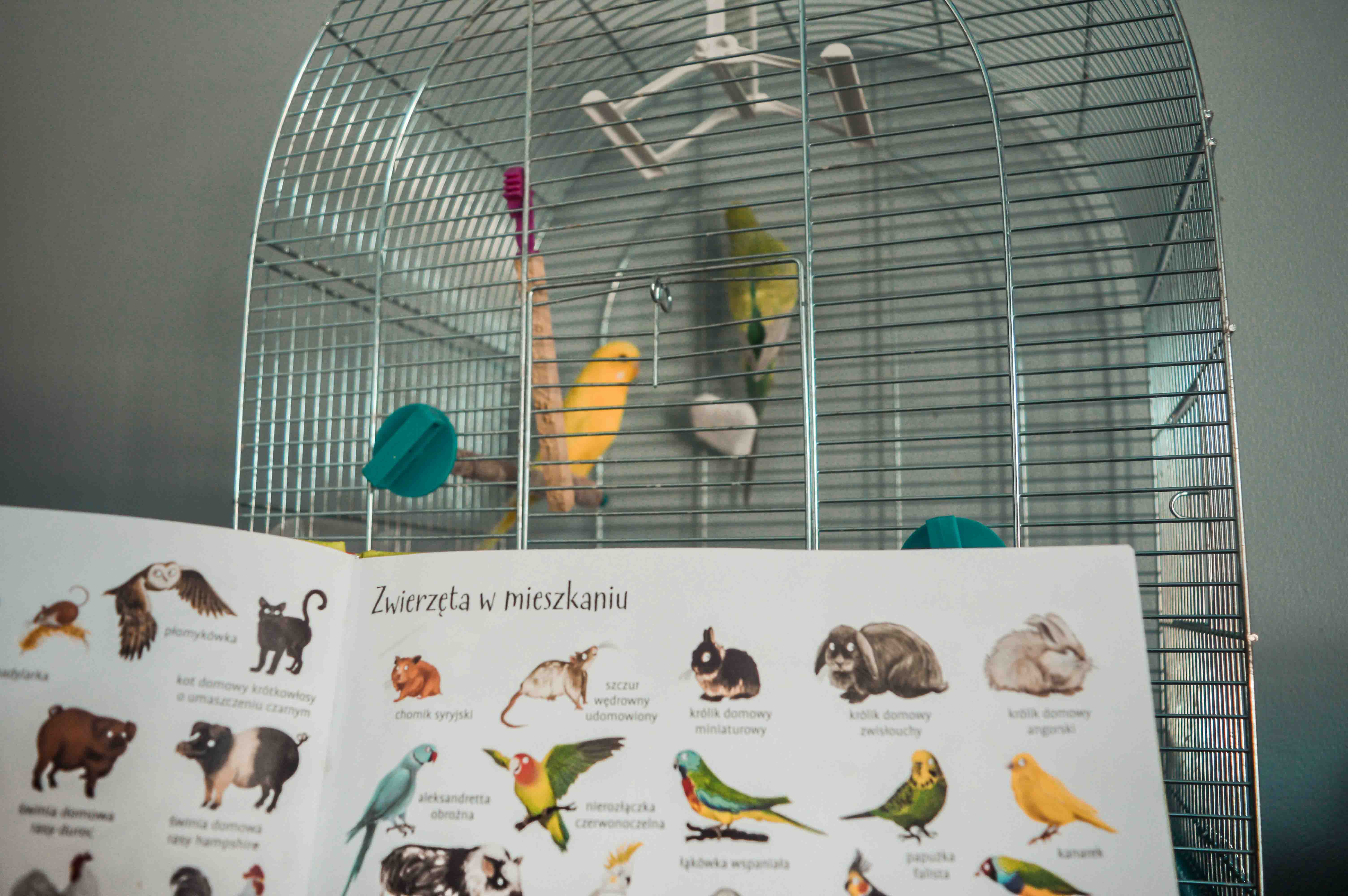 pierwsza encyklopedia dla najmłodszych