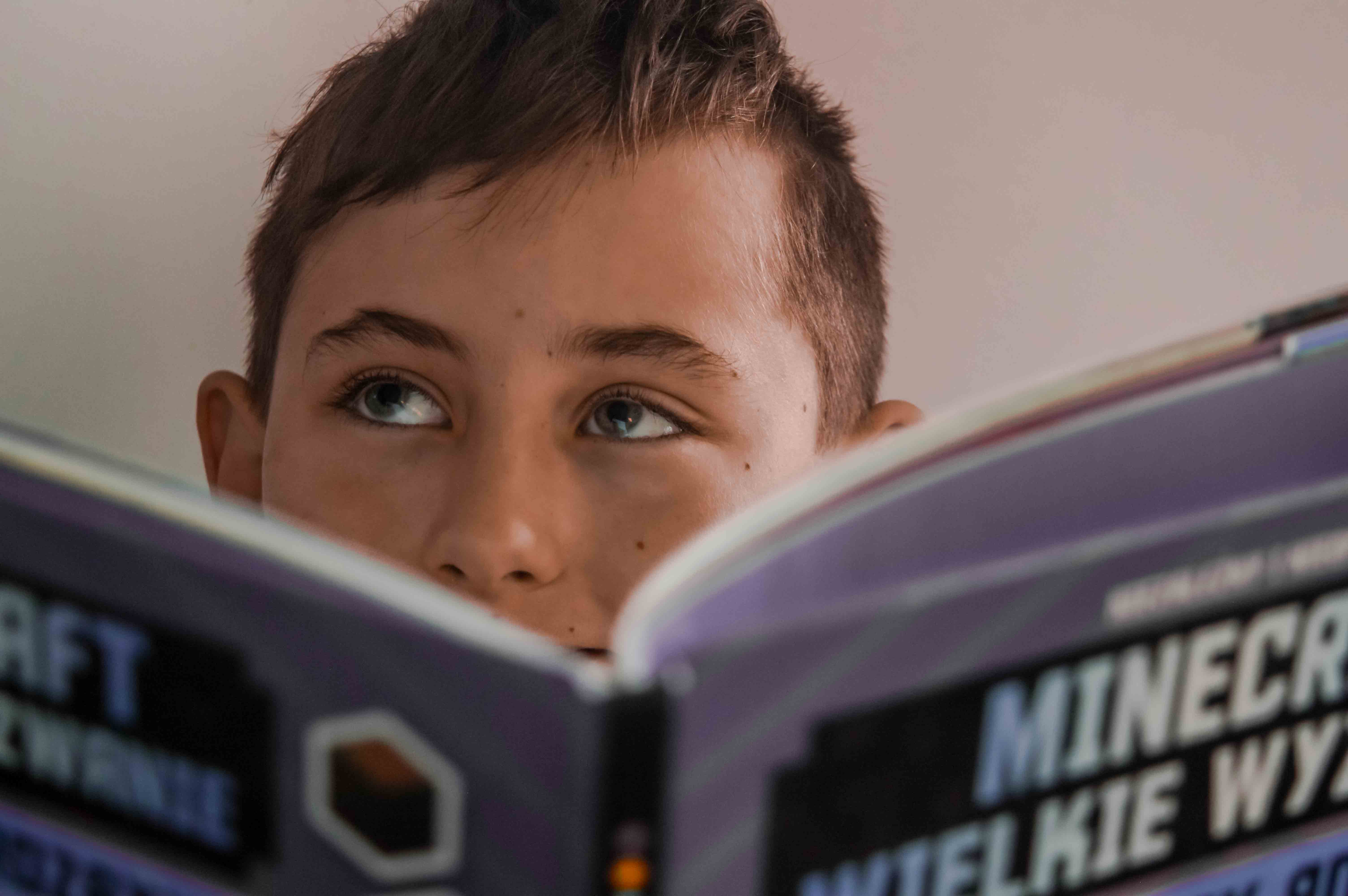 Minecraft Jak zbudować park rozrywki - Jak zbudować boisko i budynek - poradnik - przewodnik o grach dla dzieci i młodzieży - sria - ksiązki dla natolatków - prezenty dla 12 latka