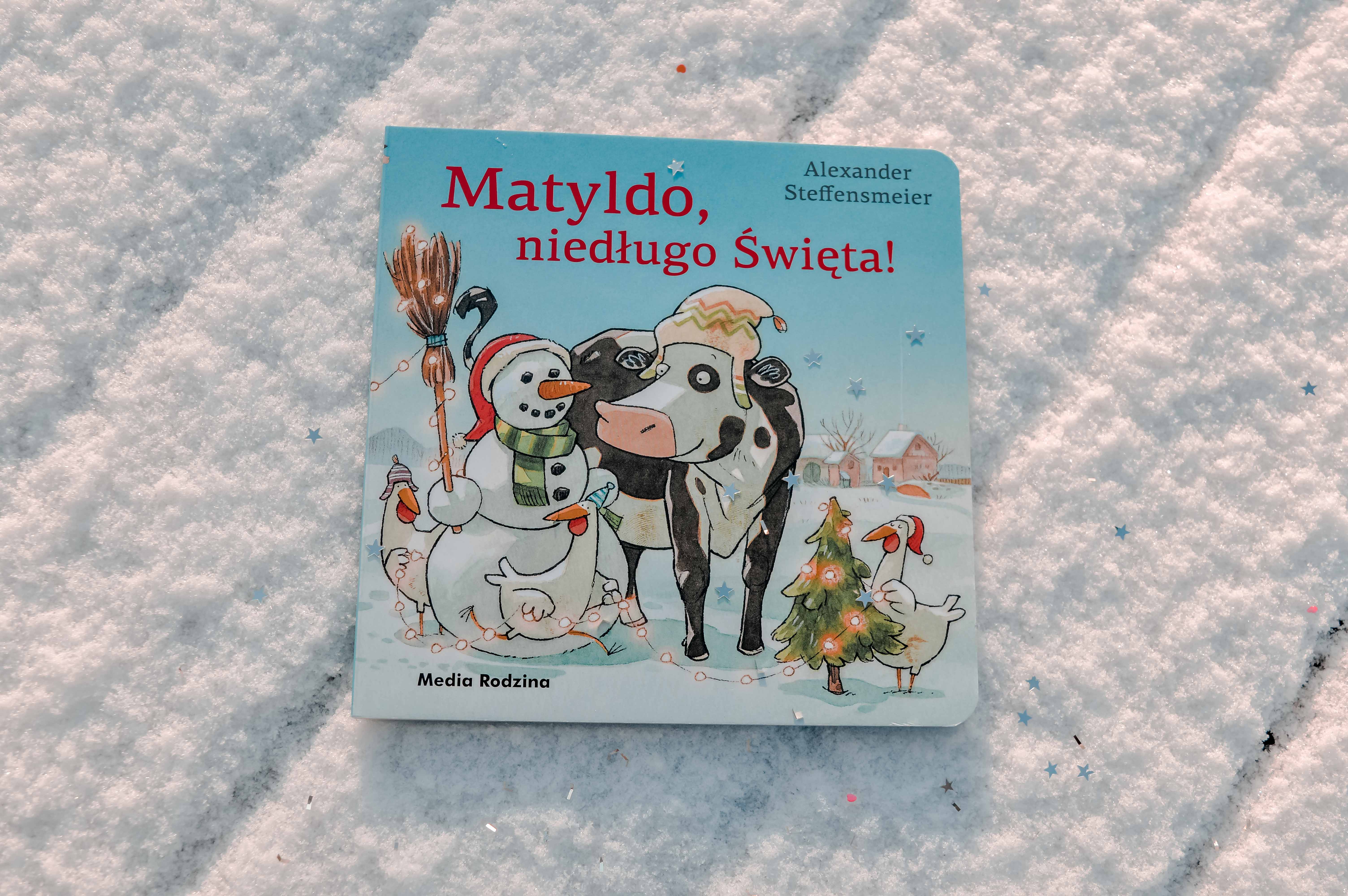 Książeczki świąteczna o Mikołaju, o Świętach dla dzieci 2 i 3 latka - książki o świętach do 10 zł - prezent dla dziecka do przedszkola - twarda okładka i twarde kartki
