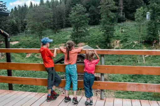 Bieszczady żubry atrakcje dla dzieci w bieszczadach najciekawsze miejsca w bieszczadach ustrzykach dla całej rodziny z dzieckiem 4 5 6 7 8 9 lat