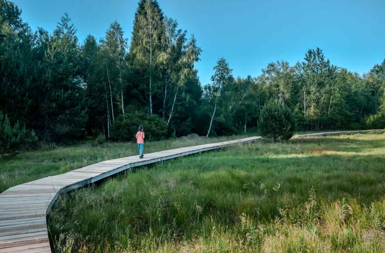 Torfowisko w BIeszczadach Bieszzcady atrakcje dla dzieci gdzie pojechać z dzieckiem w ustrzykach w bieszczadach na podkarpaciu najciekawsze miejsca niekomercyjne w bieszczadach