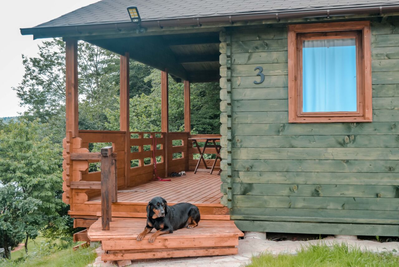 miejsca noclegowe bieszczady z psem