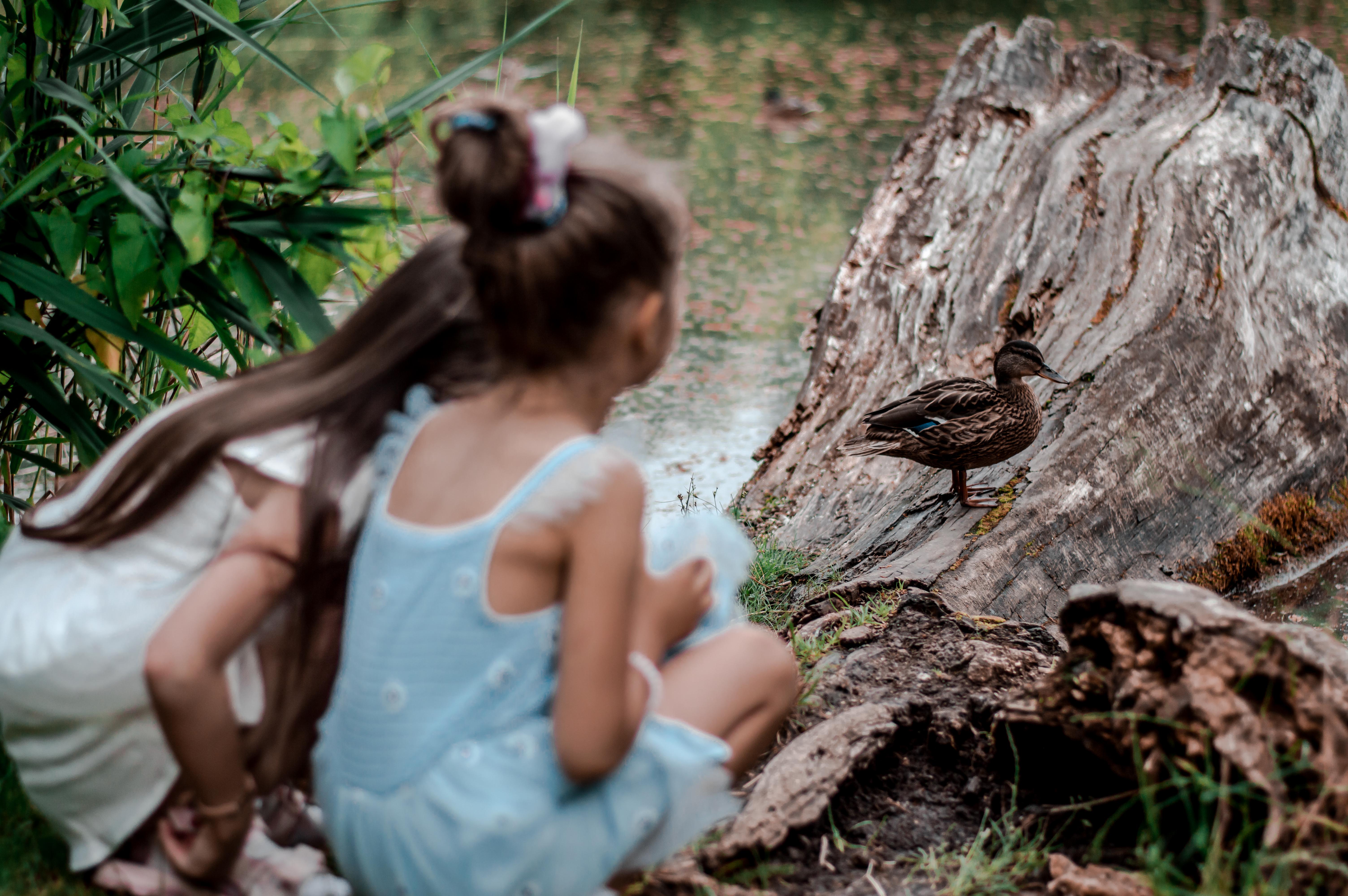 najładniejsze sukienki dla dziewczynki na wesele SMYK