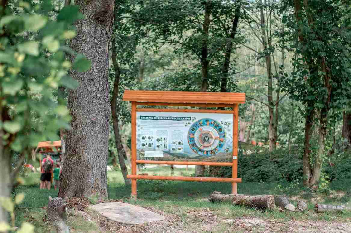 Bieszczady ciekawe miejsca dla dzieci edukacyjna ścieżka dla dzieci - spacer podkarpacie Bieszczady Solina 