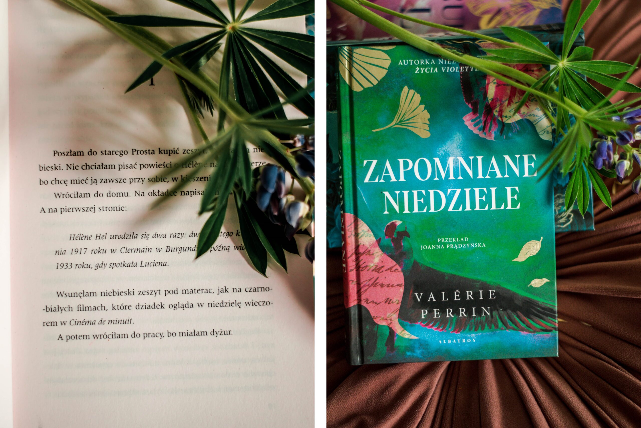 Zapomniane Niedziele fragment powieść Valerie Perrin francuski bestseller powieść o szukaniu szczescia