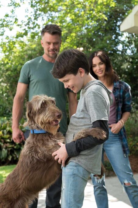 fajny film przygodowy dla całej rodziny zestawienie filmów familijnych na prime video filmy familijne netflix filmy dla dzieci i dorosłych 